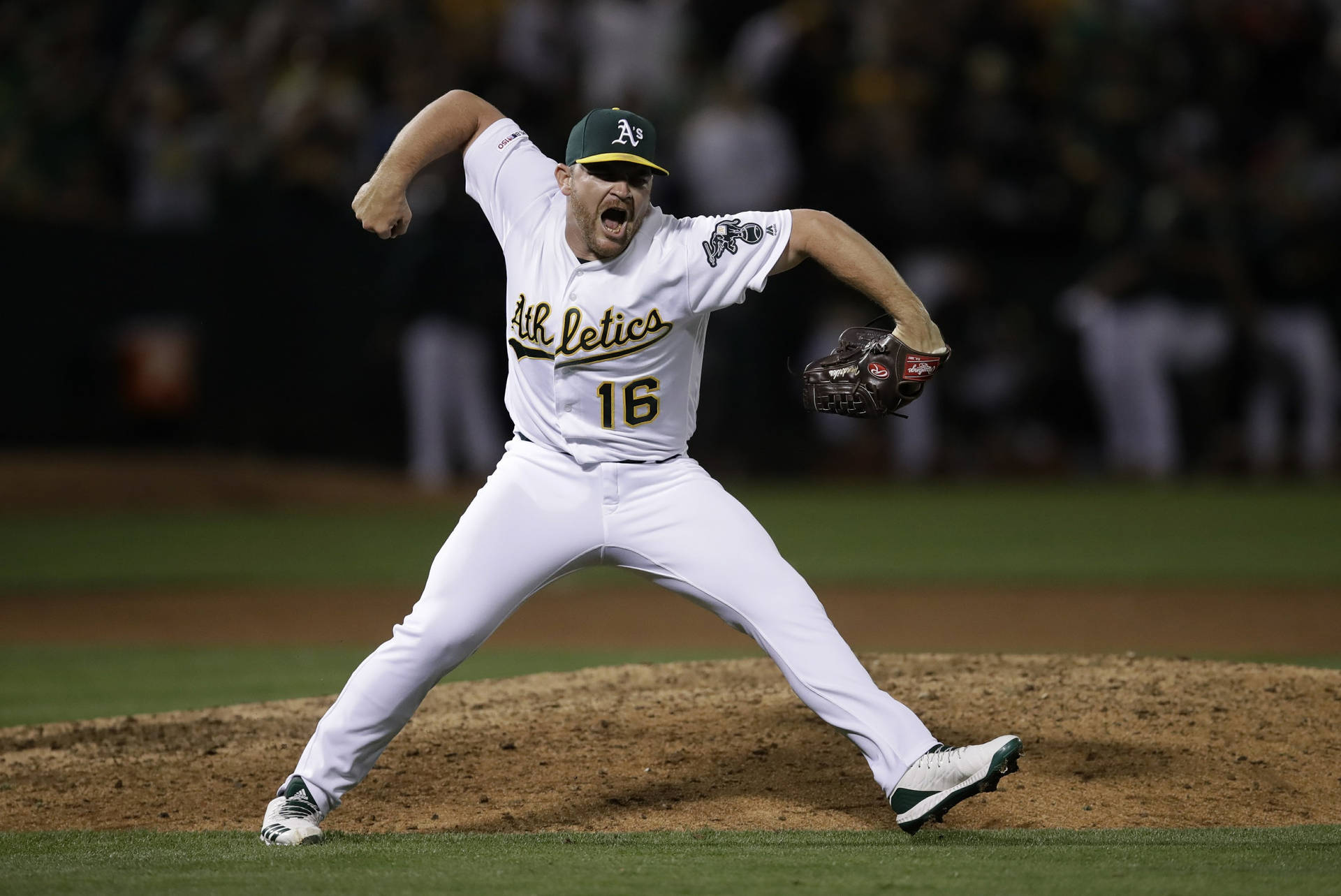 Liam Hendriks Celebrating A Throw Background