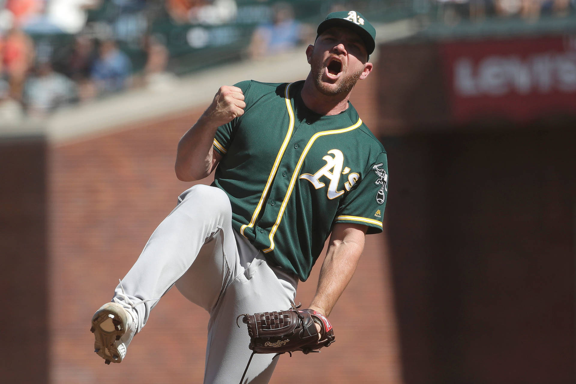 Liam Hendriks Fist Pump Dramatic Background