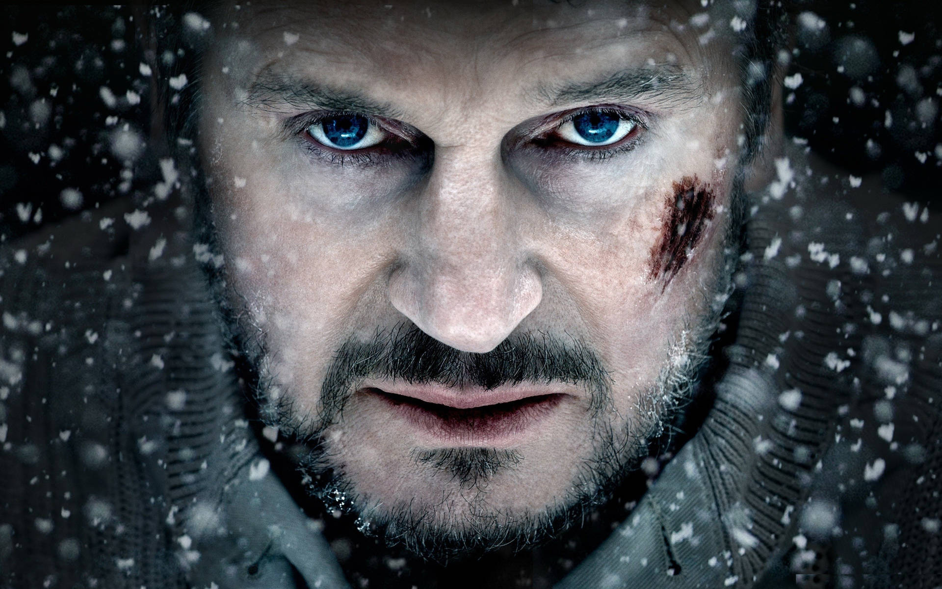 Liam Neeson Winter Snow The Grey Movie Background