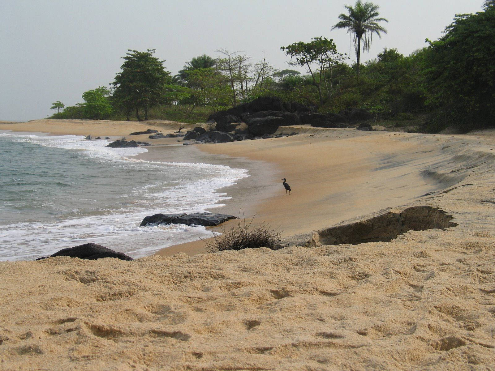 Liberia Seashore Background