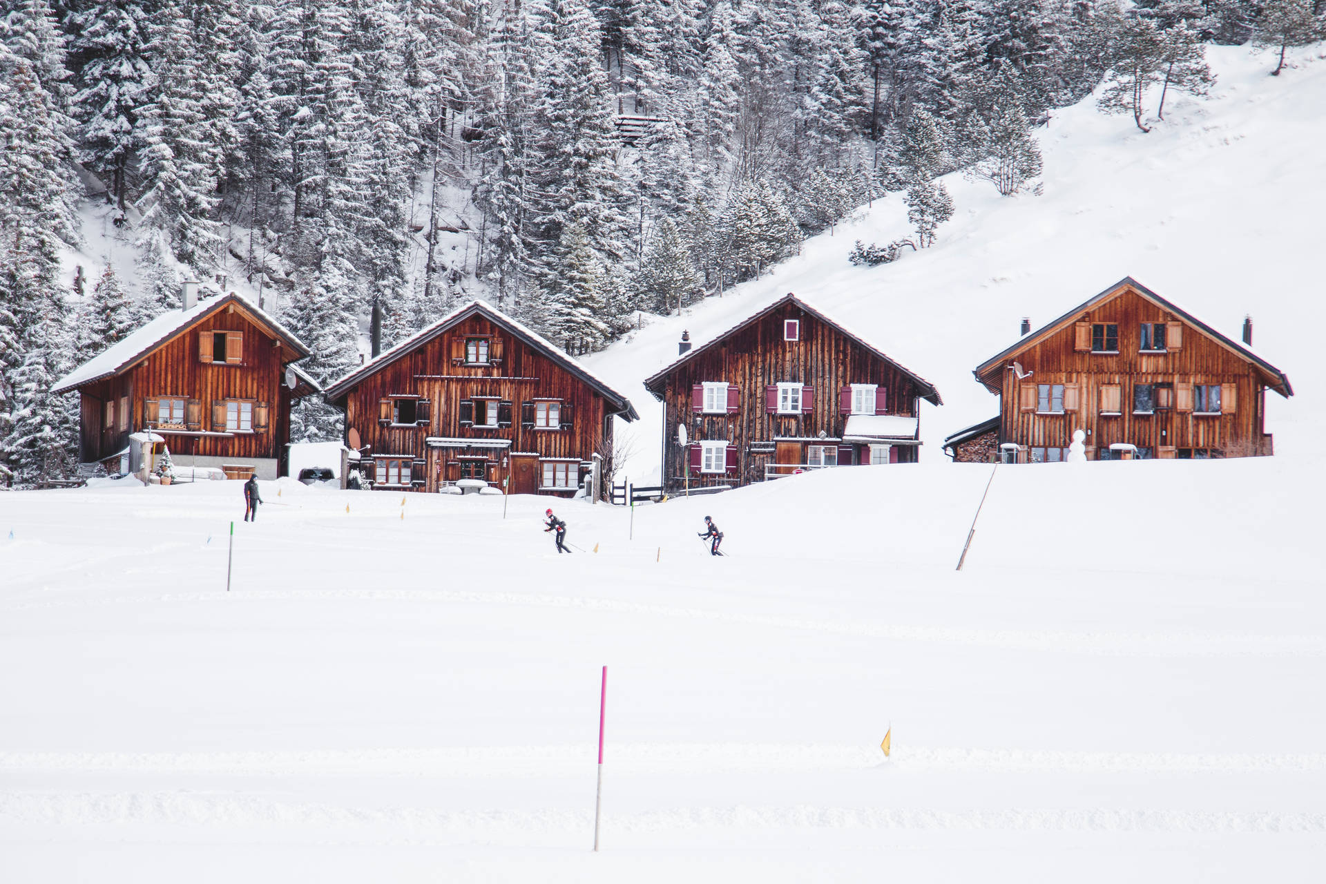 Lichtenstein Houses In Snow Background