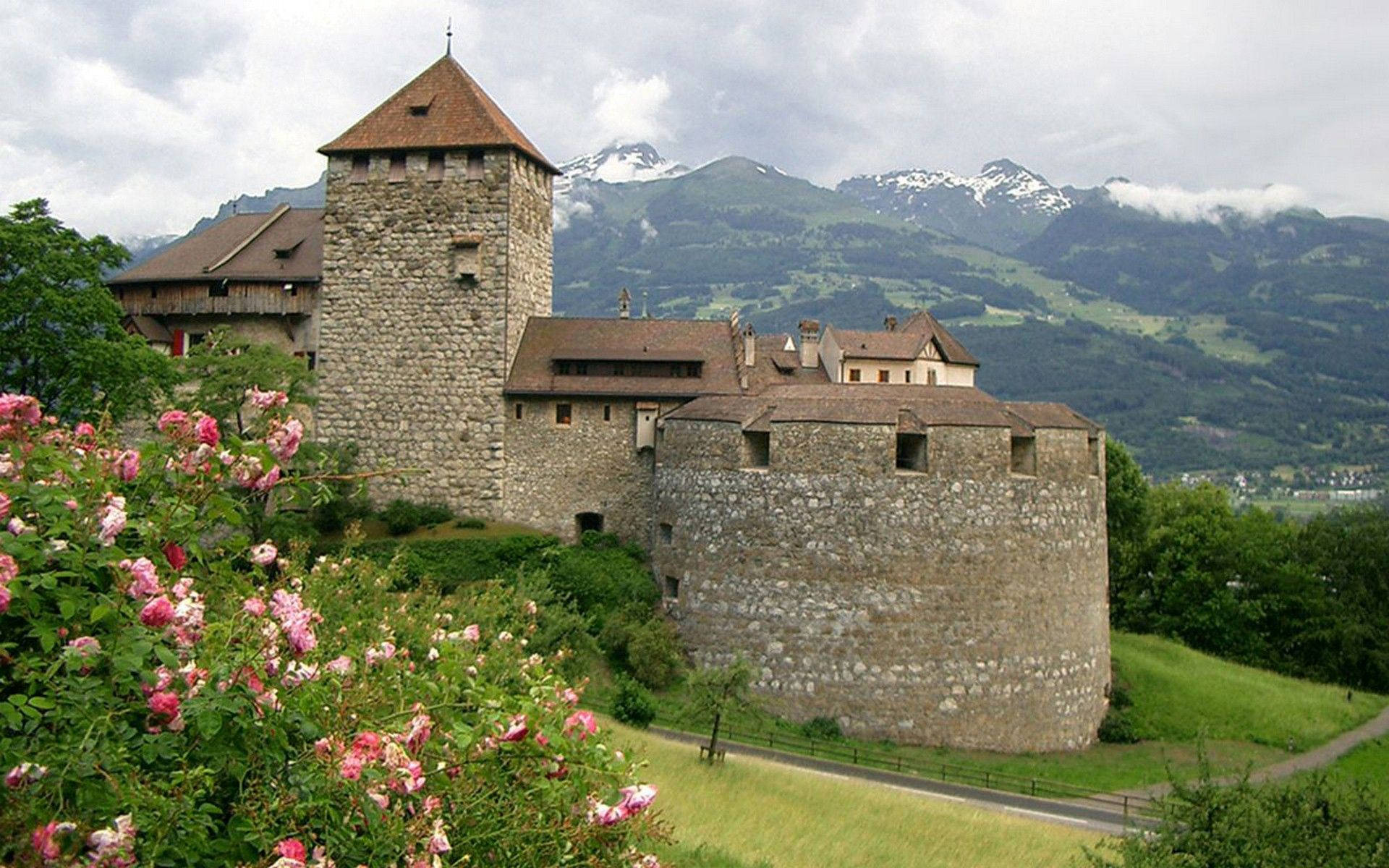 Lichtenstein Vaduz Castle In Summer Background