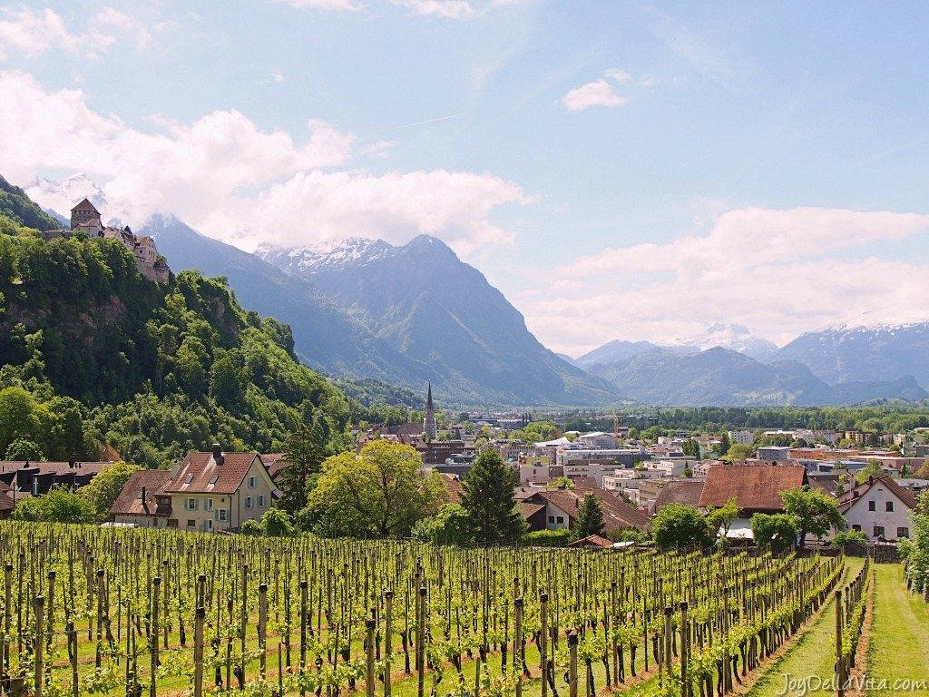 Liechtenstein Crop Field Background