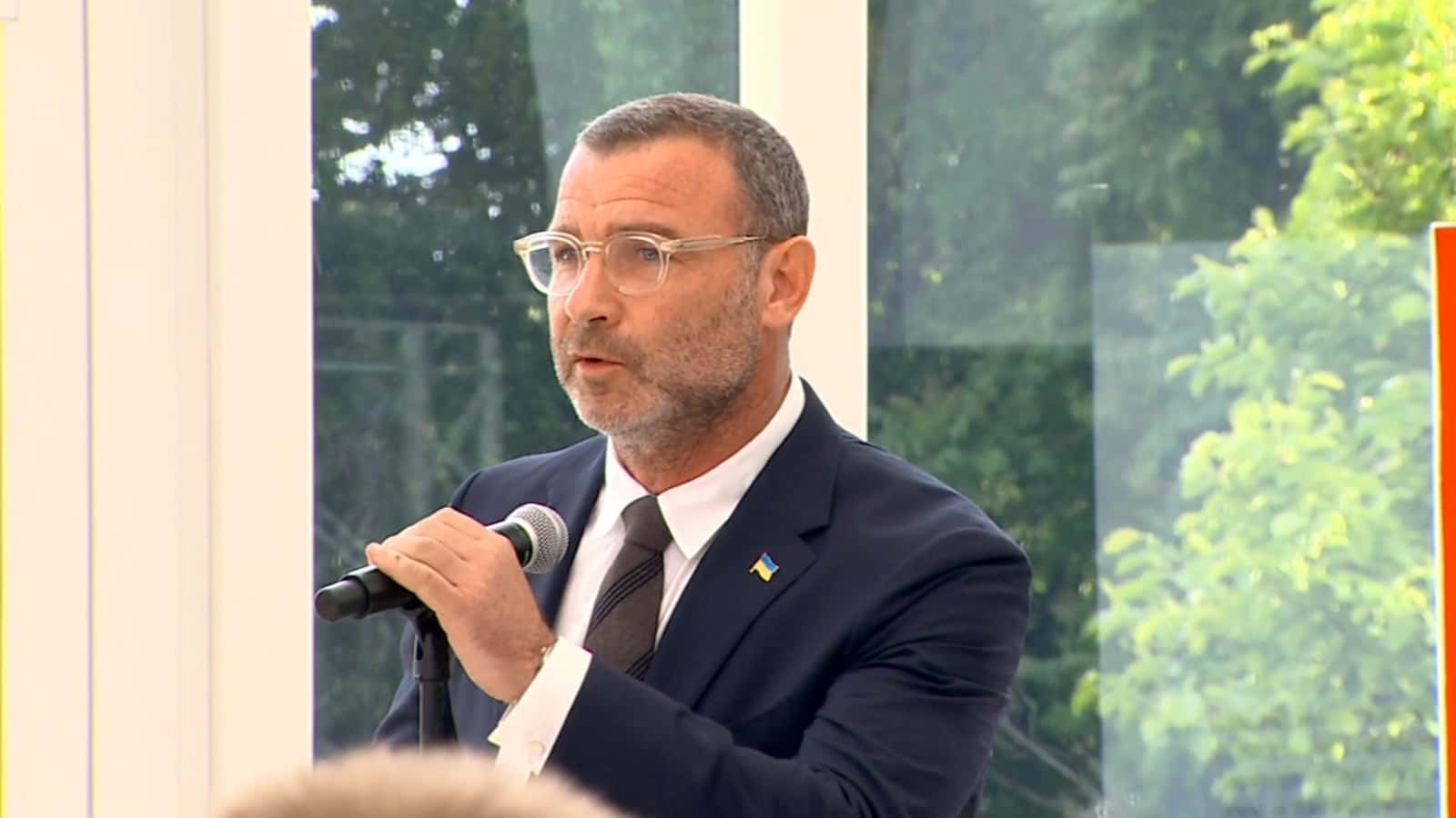 Liev Schreiber Background