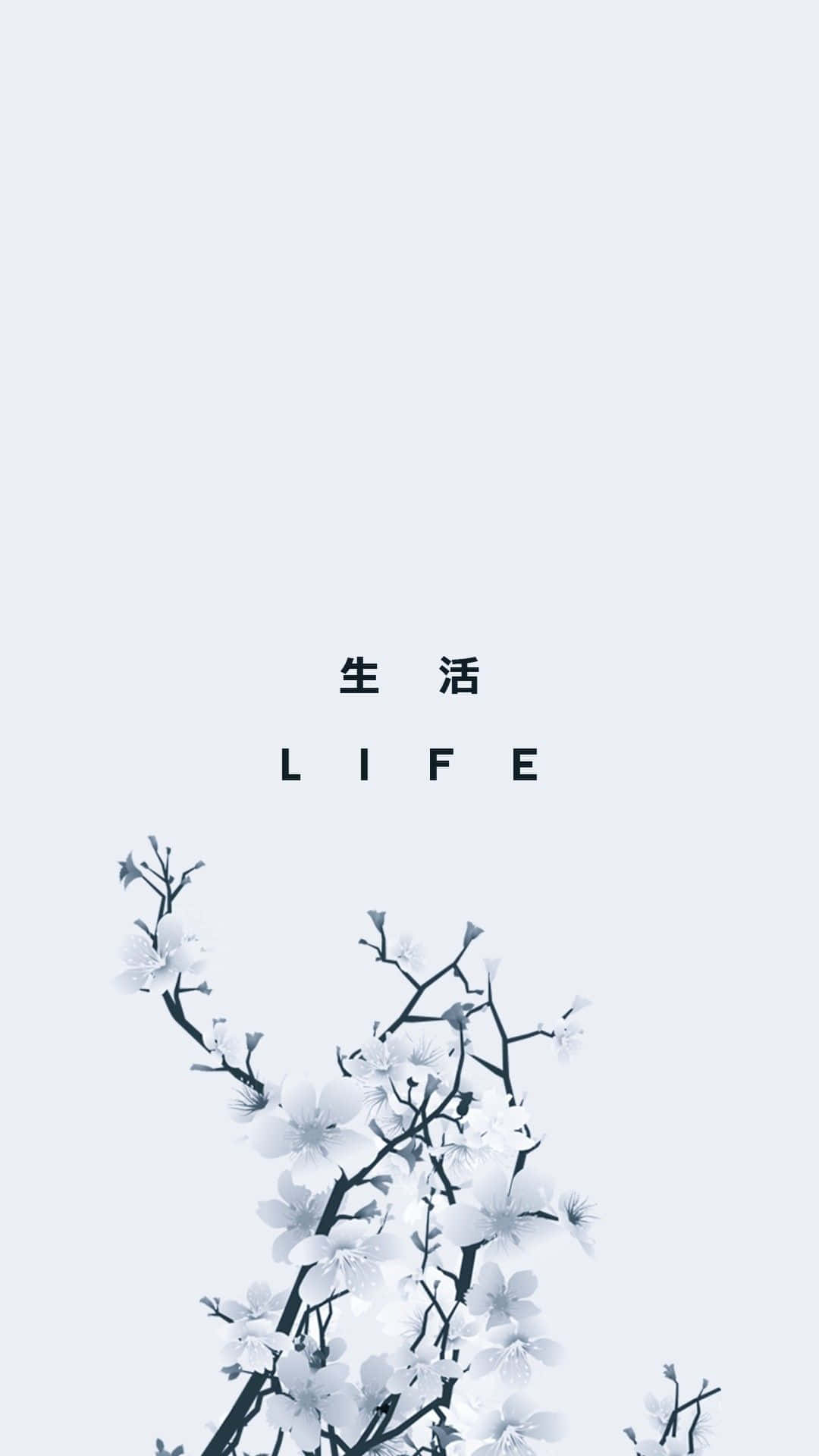 Life Cherry Blossoms Japanese Minimalist Background