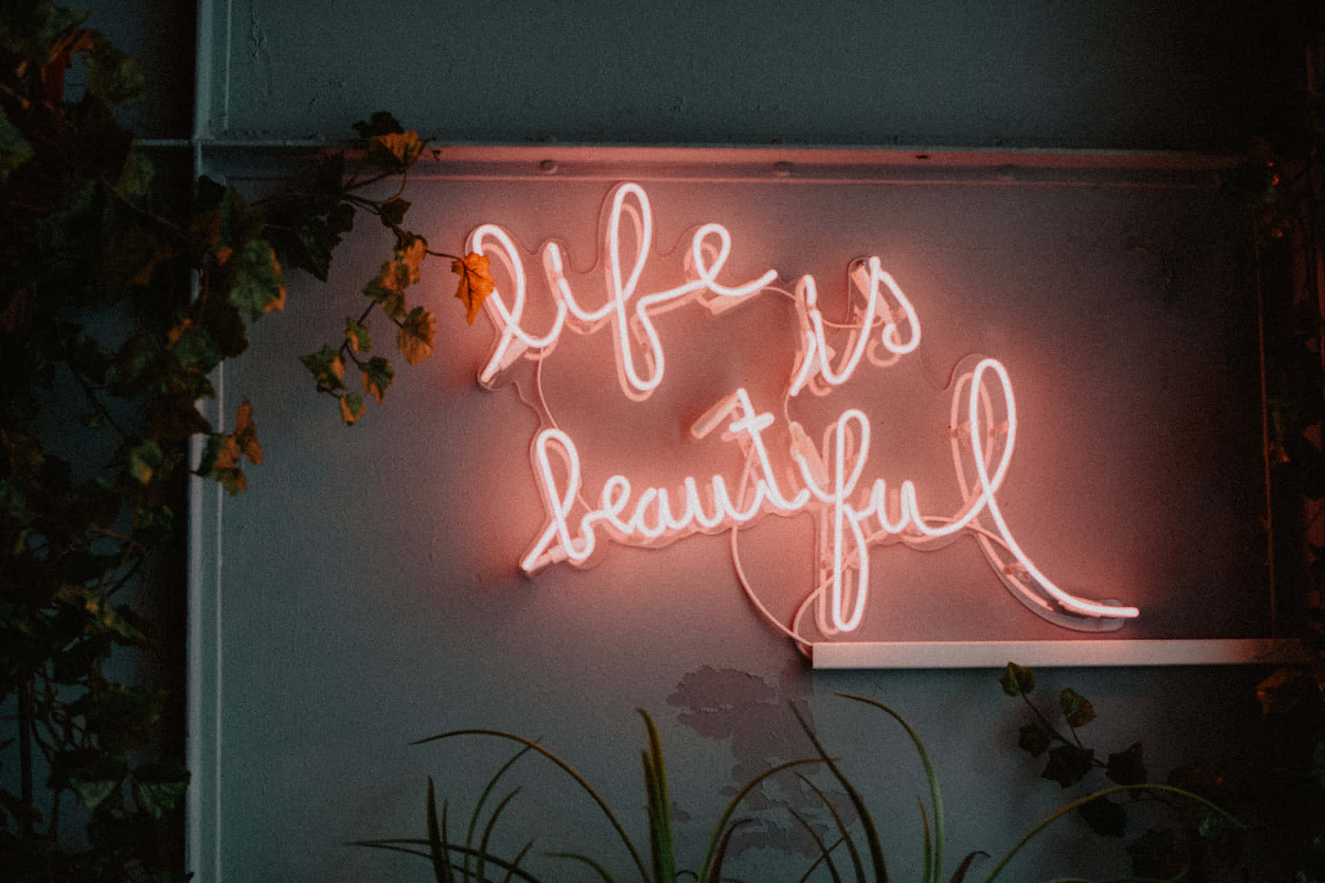 Life Is Beautiful Neon Sign Background