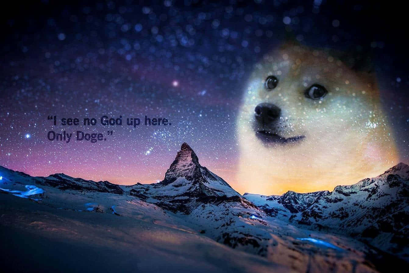 Life Is Good With Doge