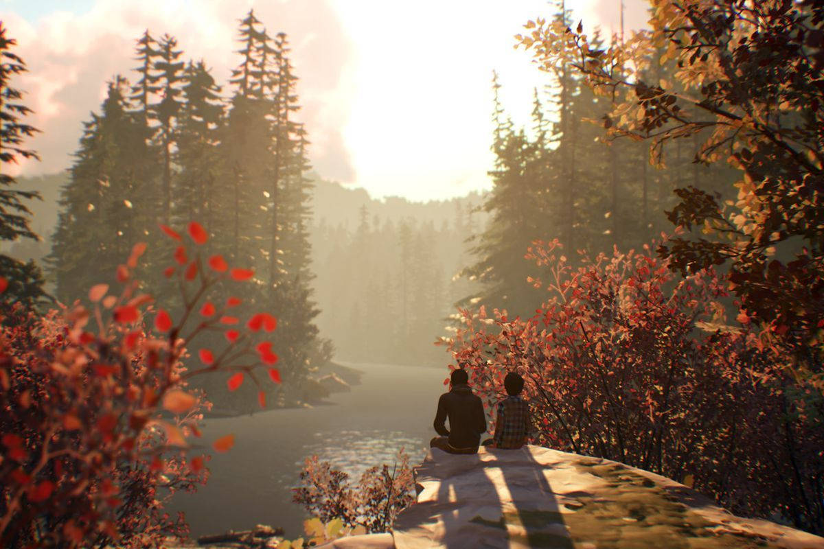 Life Is Strange Looking Nature Background