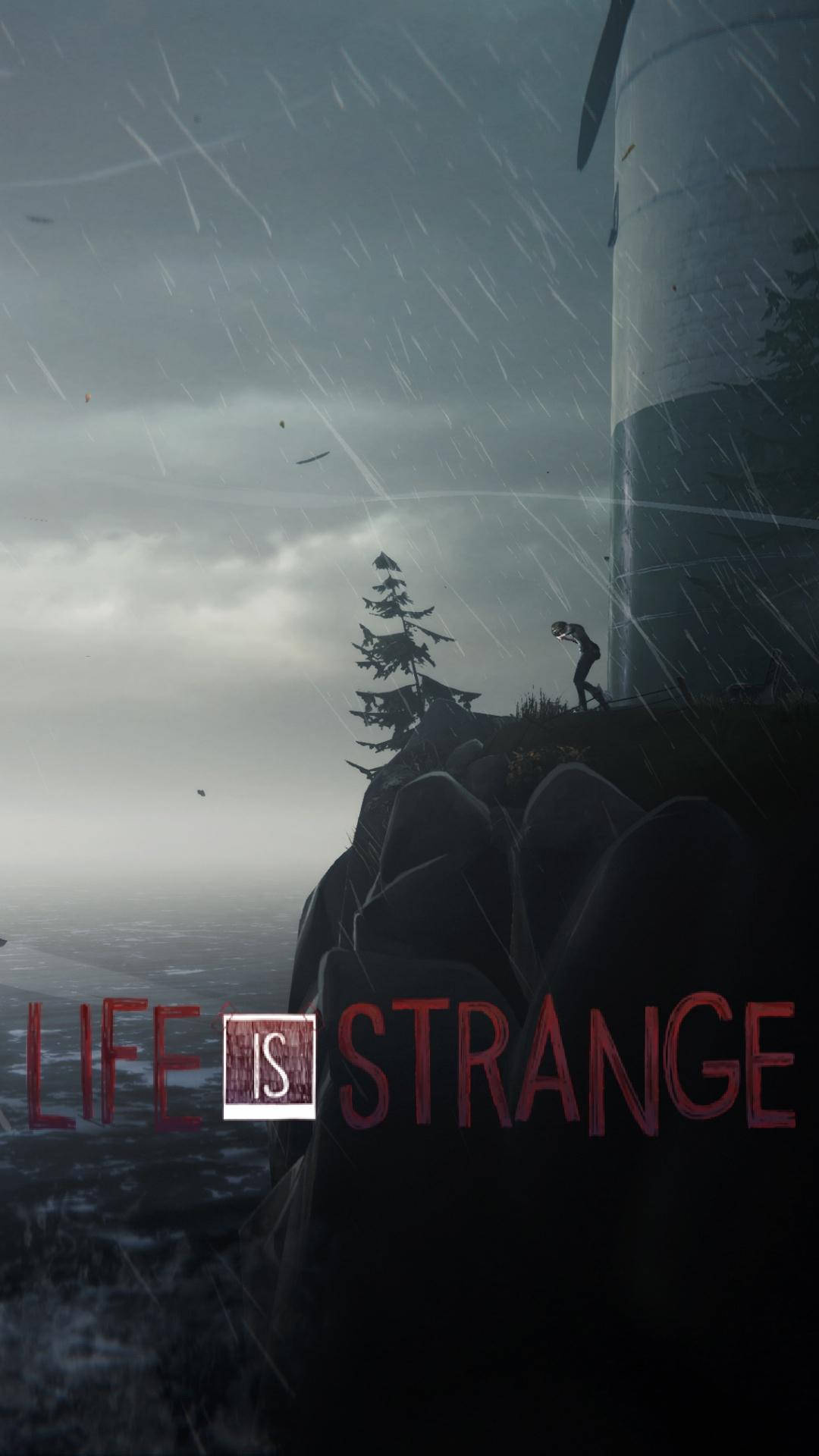 Life Is Strange Rainy Ledge Background