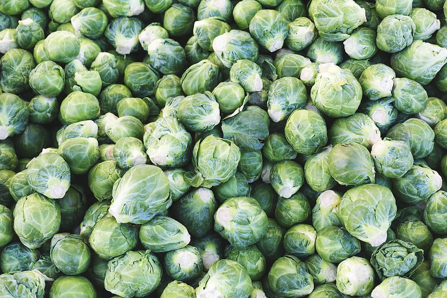 Light And Dark Green Brussels Sprouts Vegetable Background