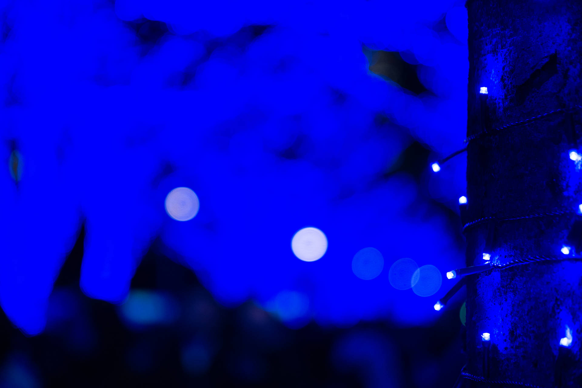 Light Blue Fairy Lights Background
