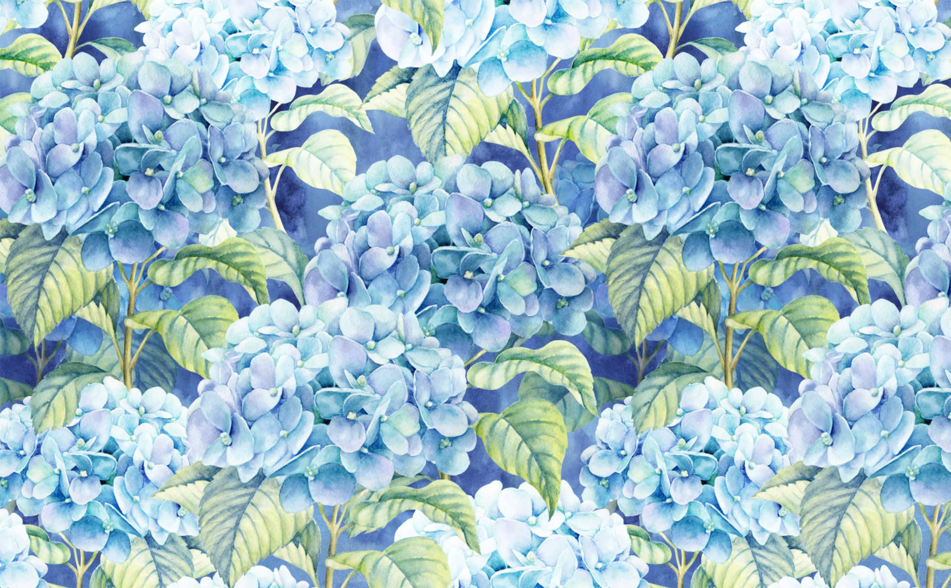 Light Blue Hydrangea Illustration