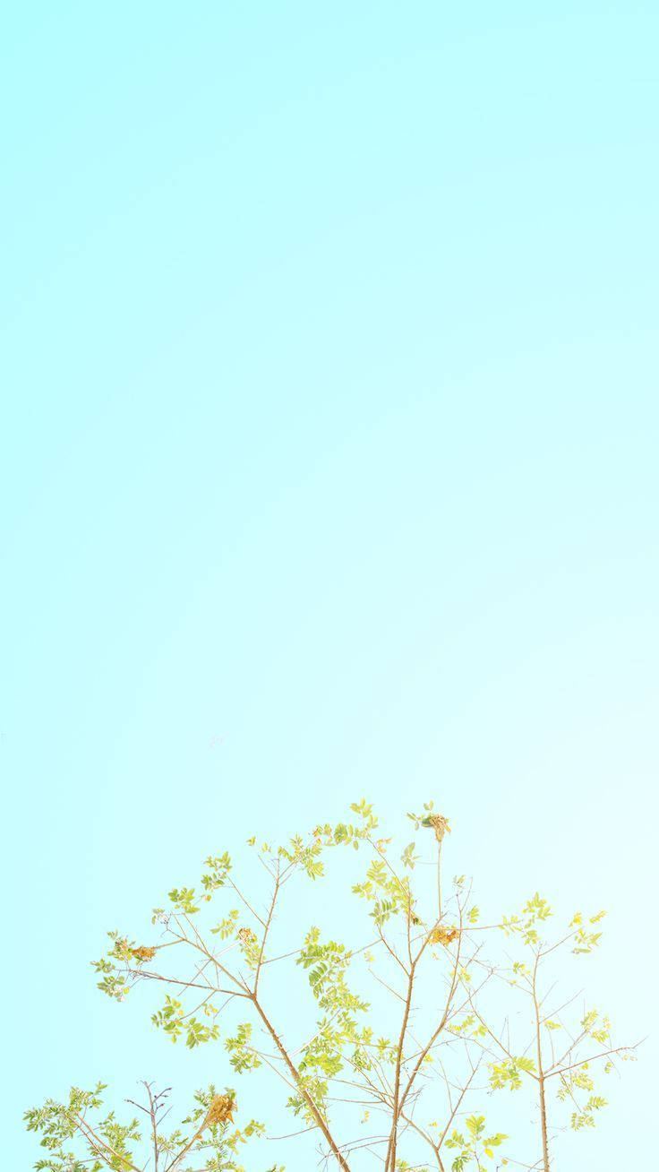 Light Blue Pastel Iphone Background