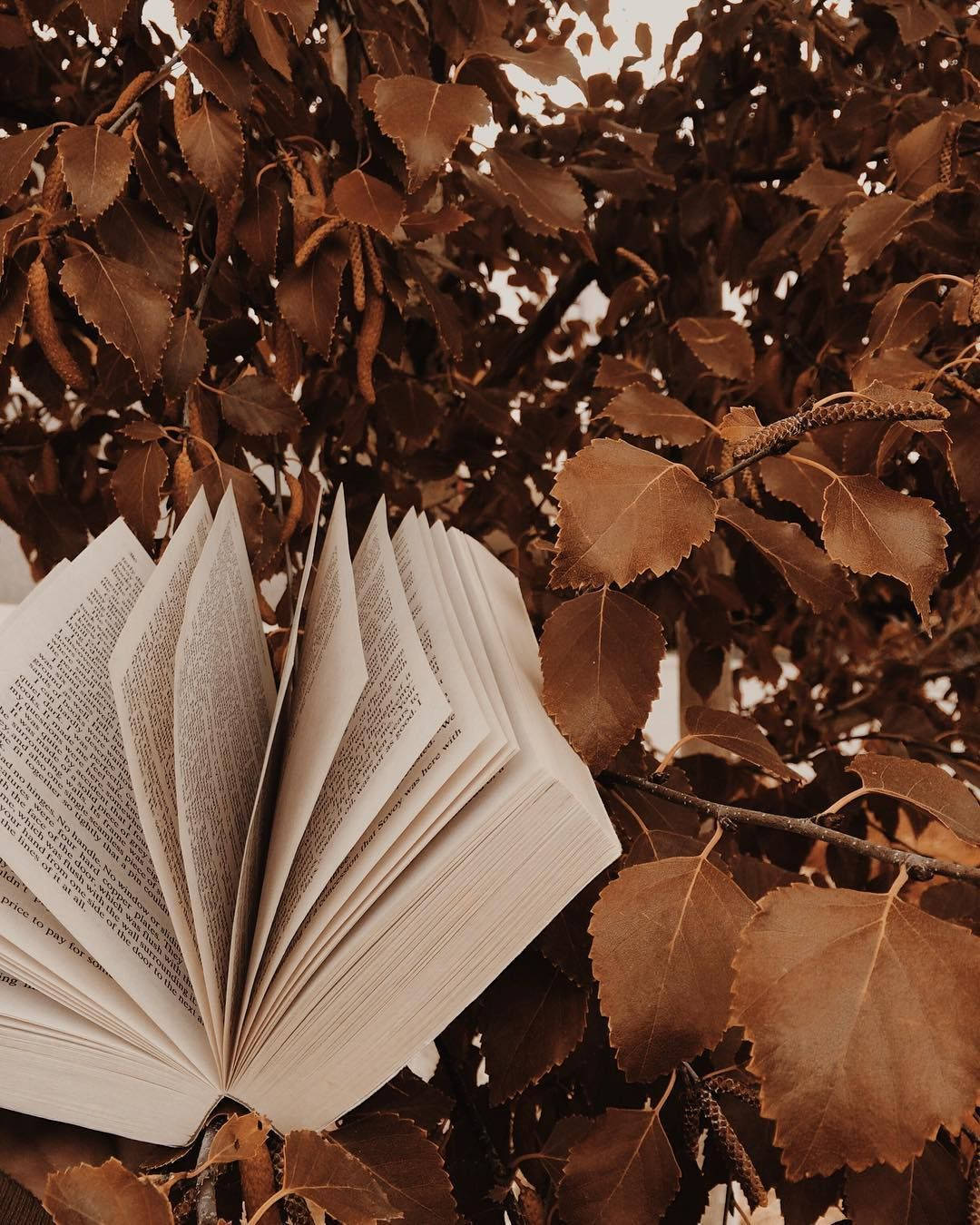 Light Brown Aesthetic Book On Tree