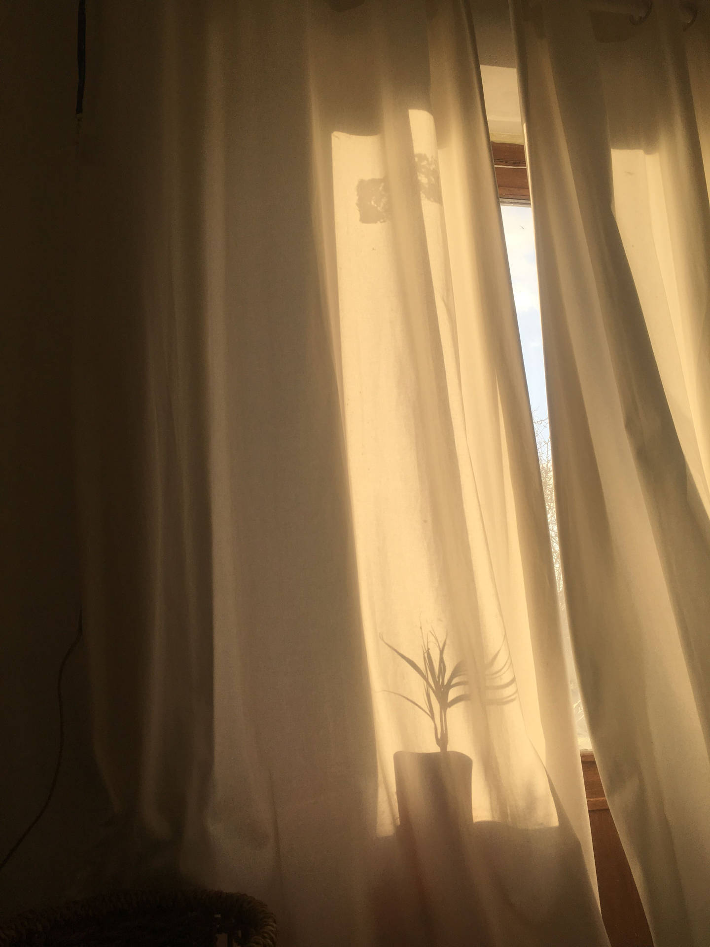 Light Brown Aesthetic Curtain Sunlight Background