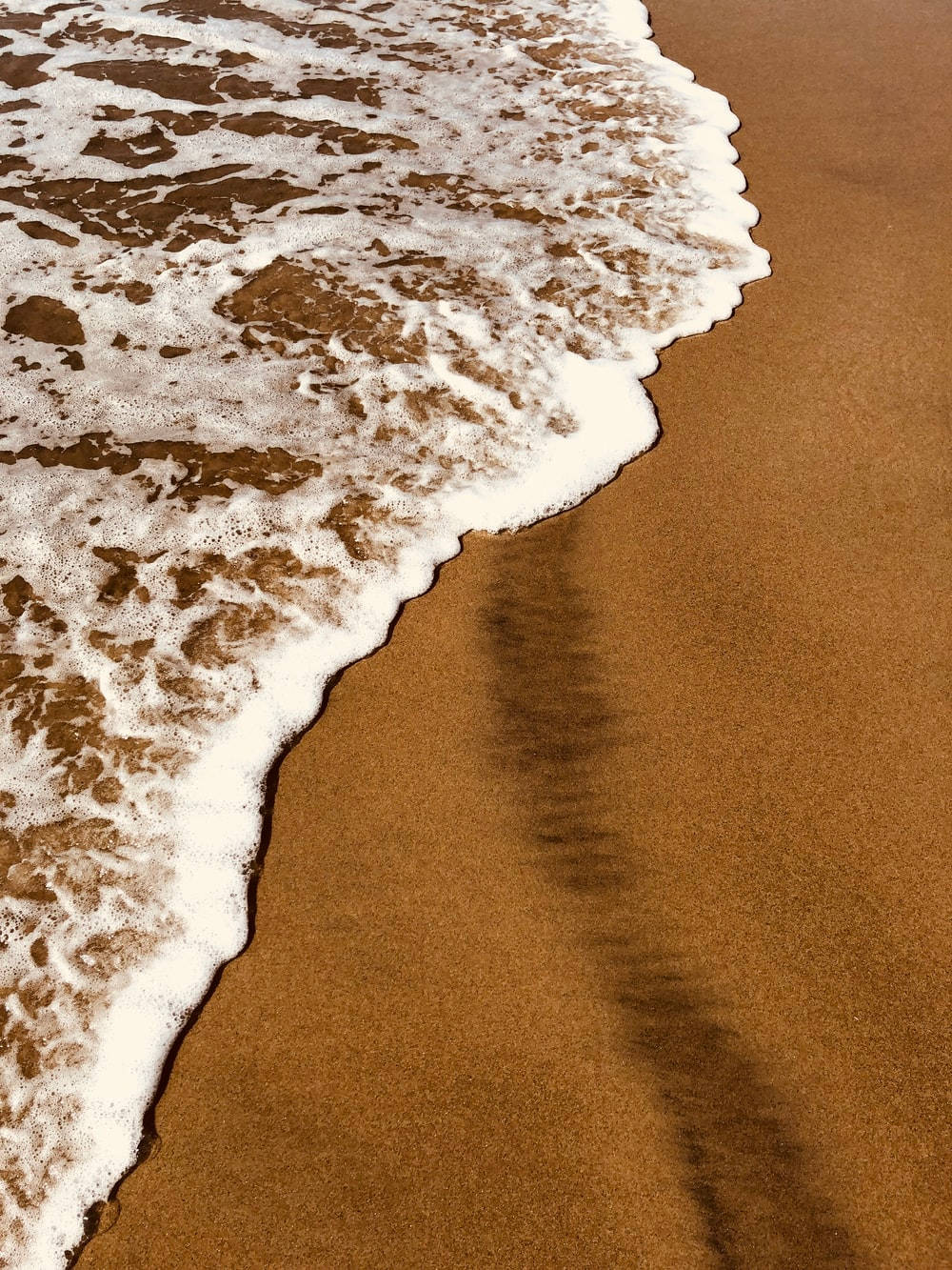 Light Brown Aesthetic Seashore Background
