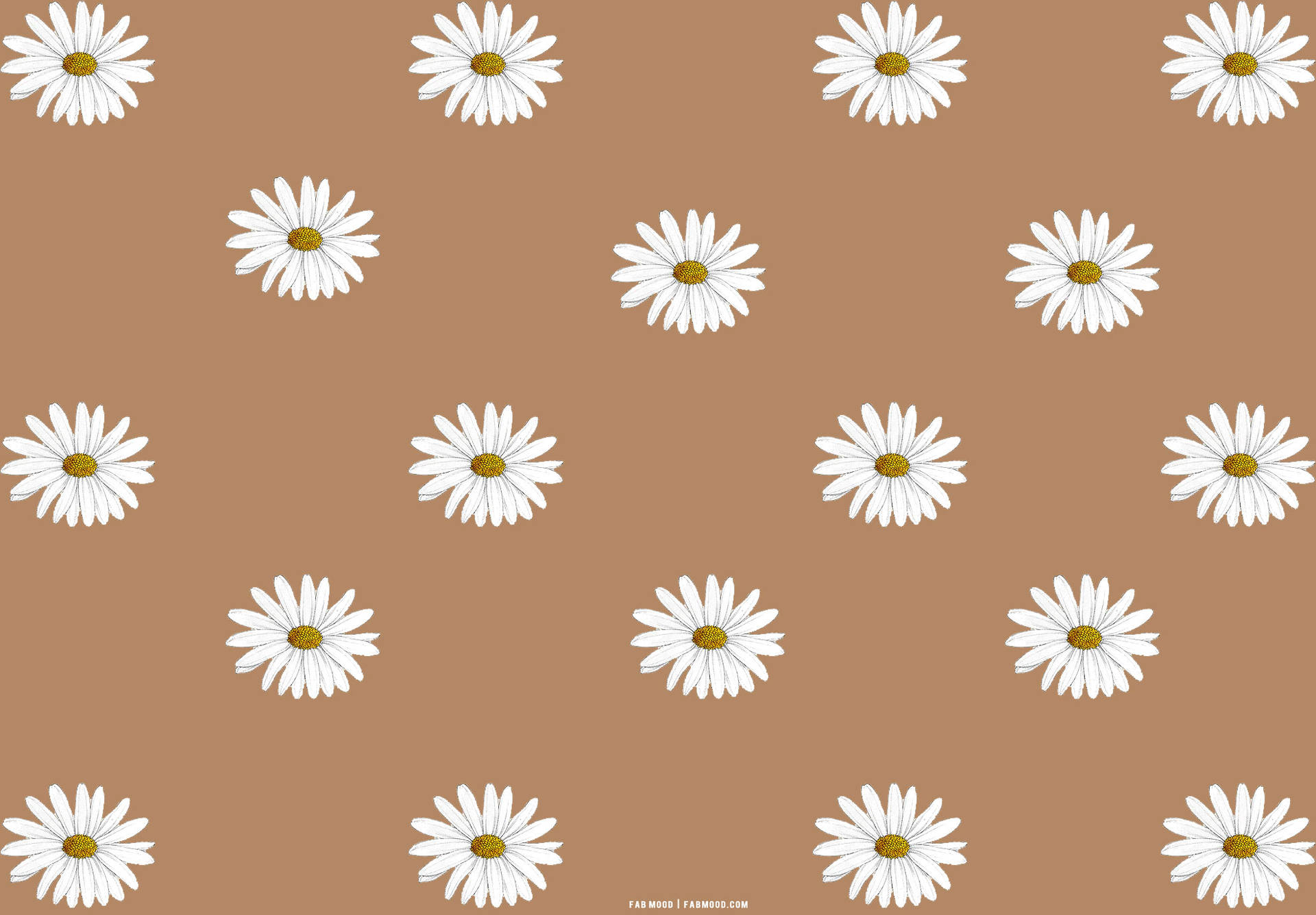 Light Brown Daisy Pattern