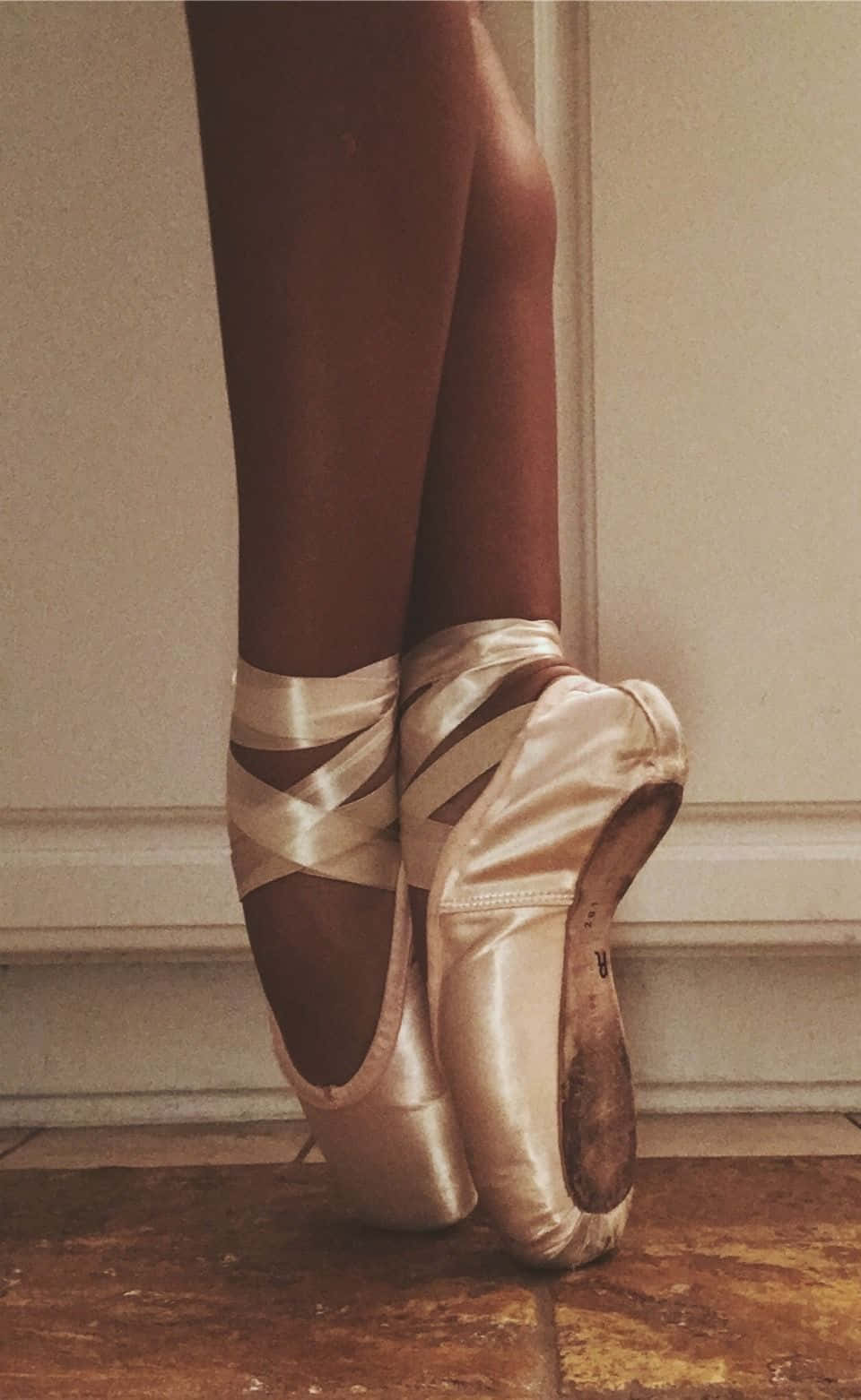 Light Brown Pointe Shoes Background