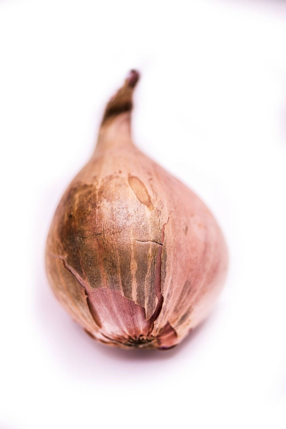 Light Brown Withered Onion Background