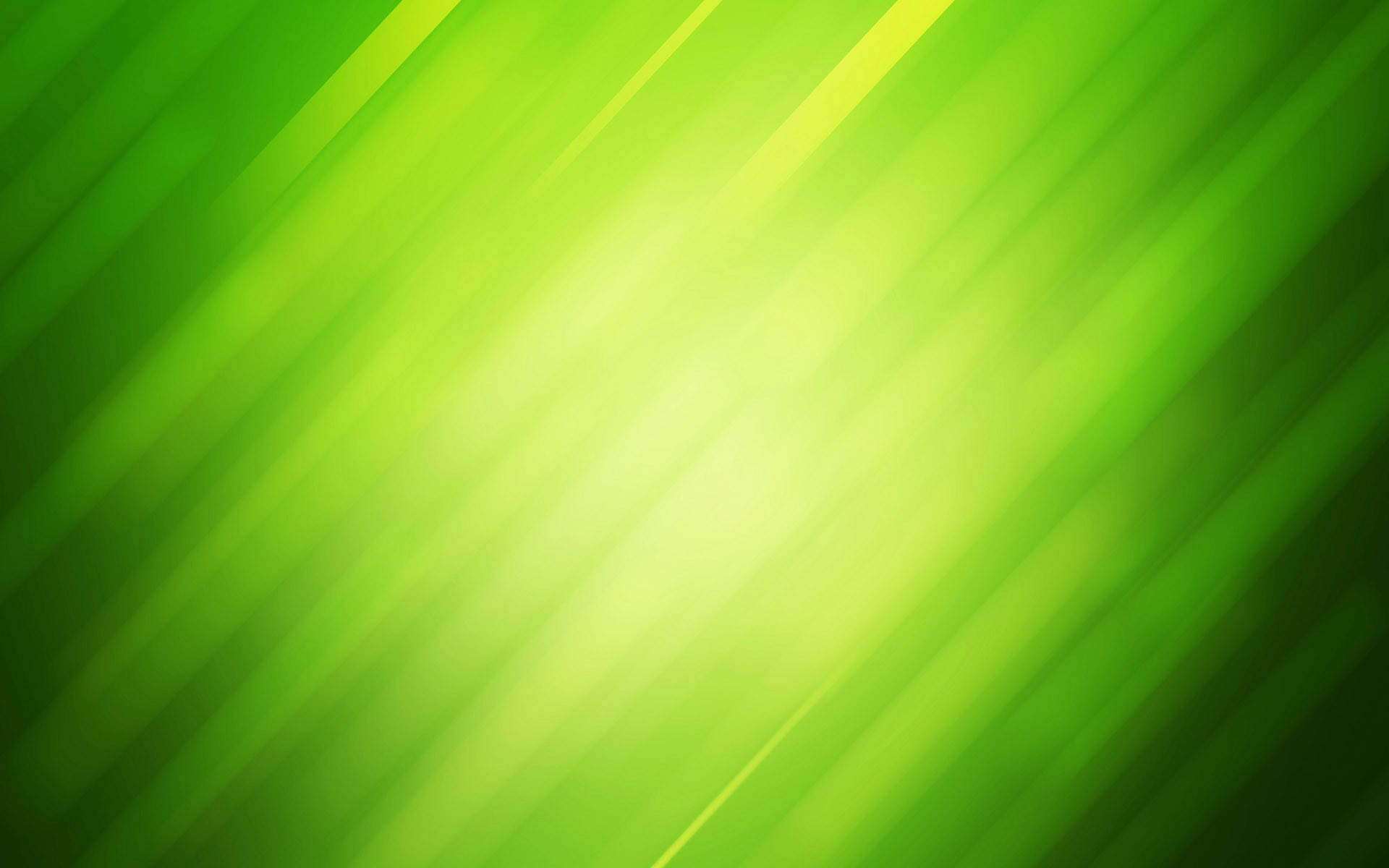 Light Color Green Leaf Background