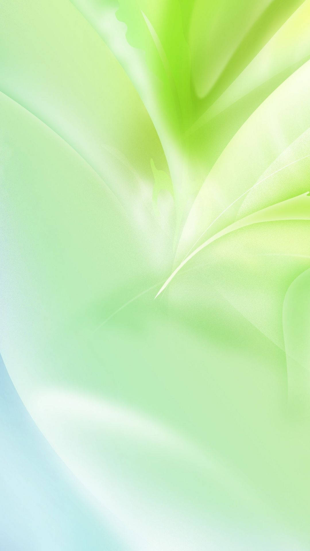 Light Green Aesthetic Abstract Gradient Background