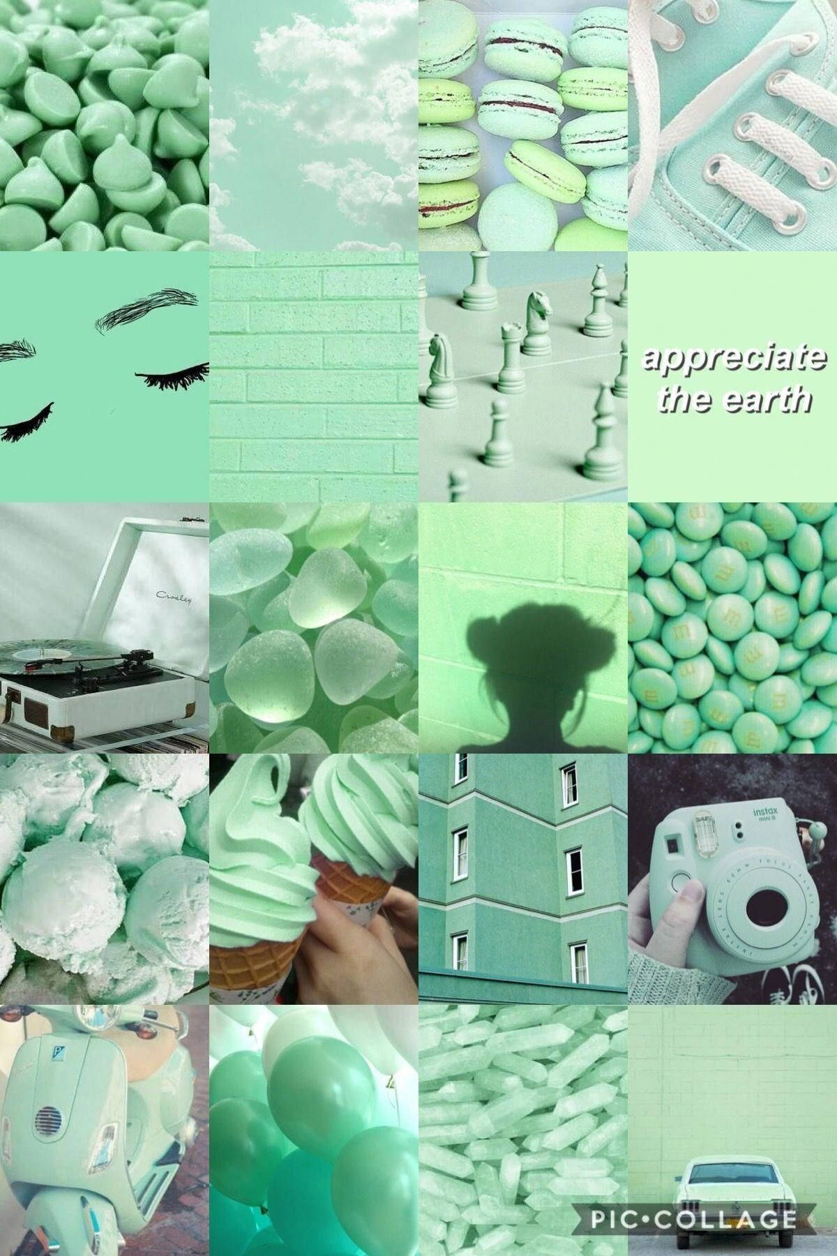 Light Green Aesthetic Trendy Collage Background