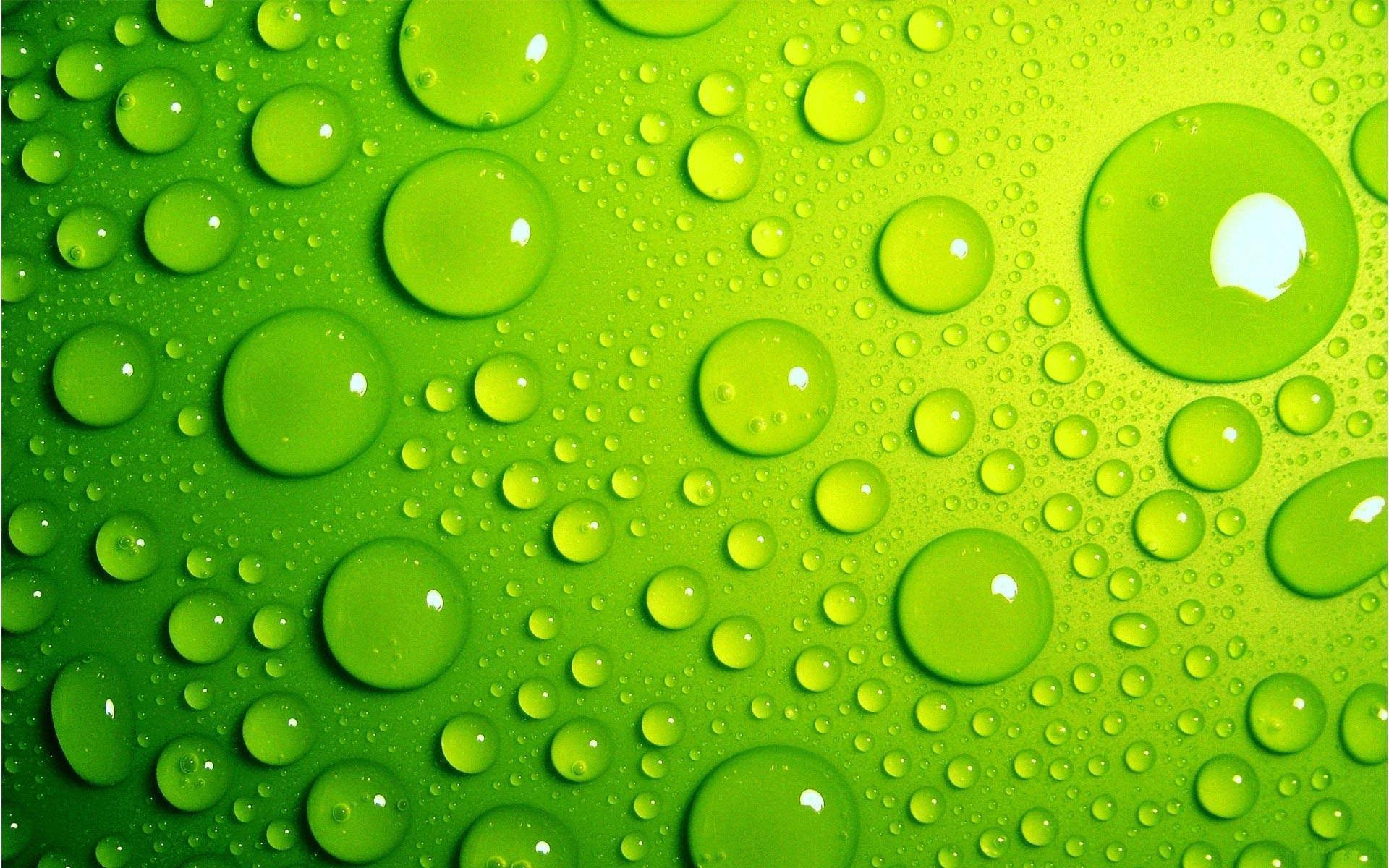 Light Green Droplets Background