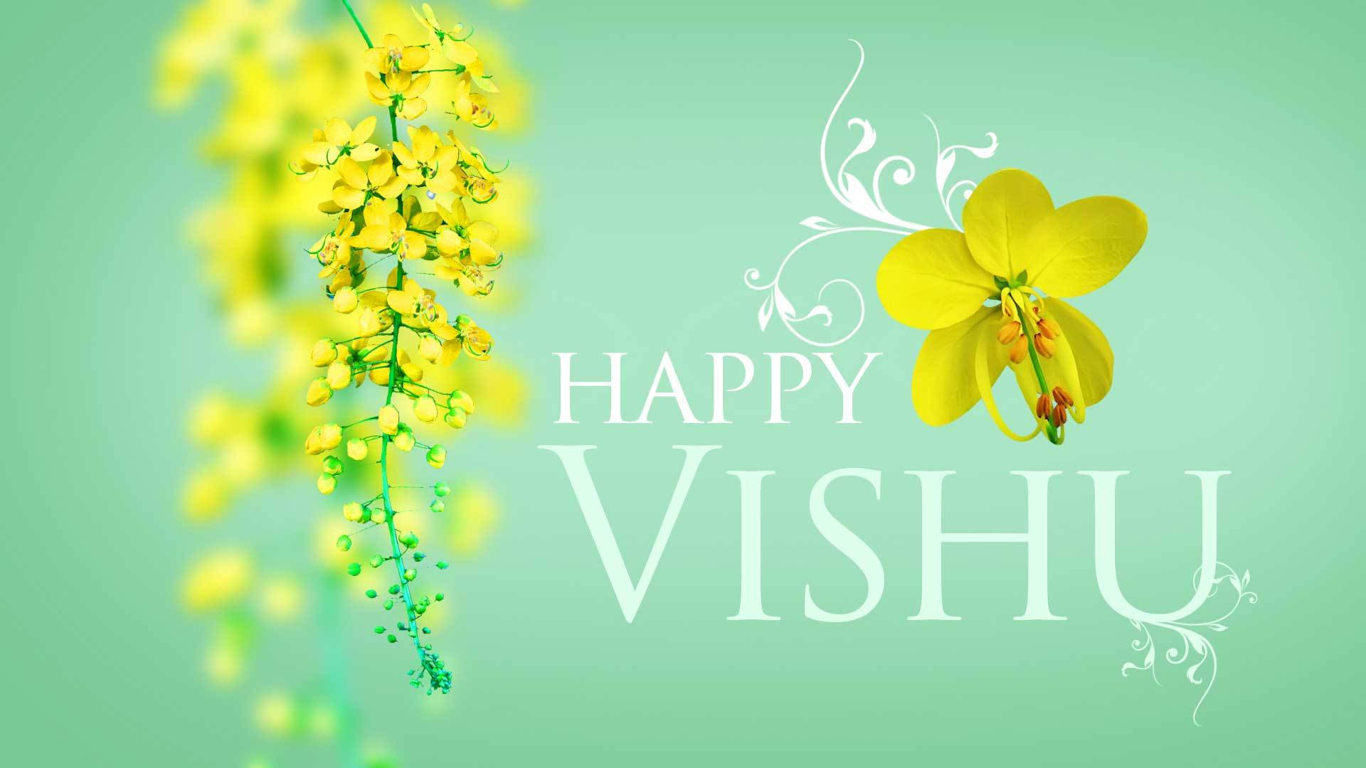 Light Green Greetings Happy Vishu Background