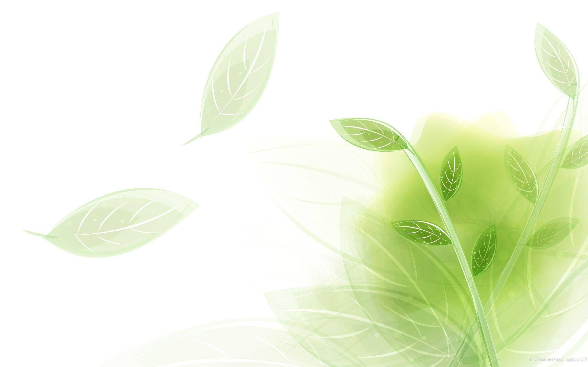 Light Green Leaves Illustration Background