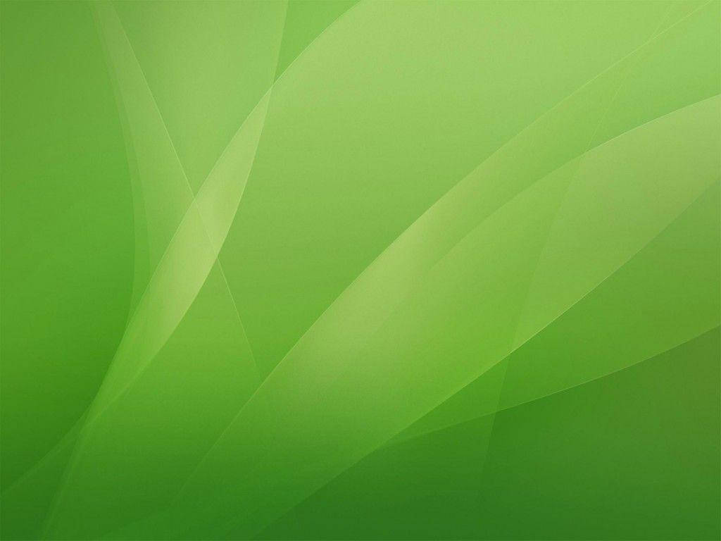 Light Green Plain Abstract Background
