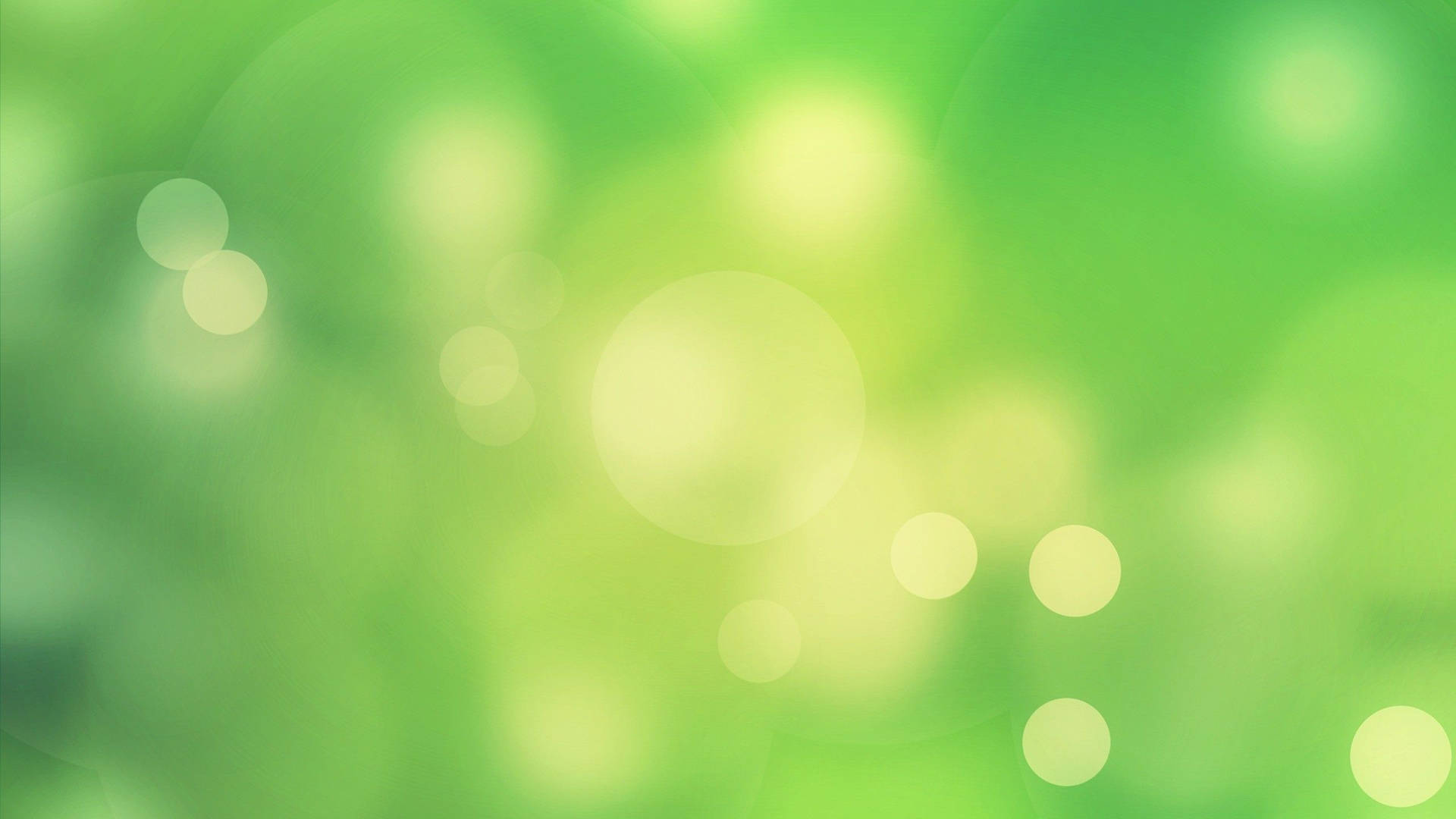 Light Green Plain Blurry Wallpaper