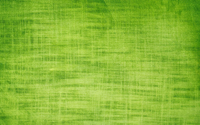 Light Green Plain Cloth Texture