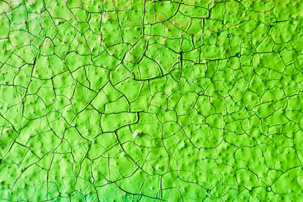 Light Green Plain Leaf Texture Background