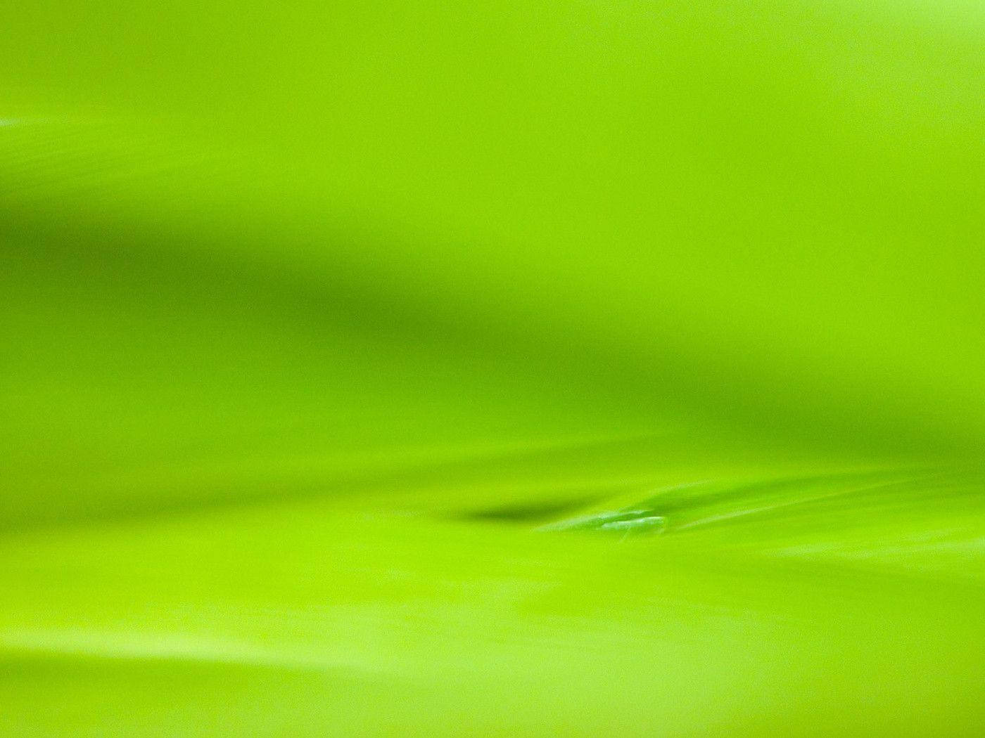 Light Green Surface Background