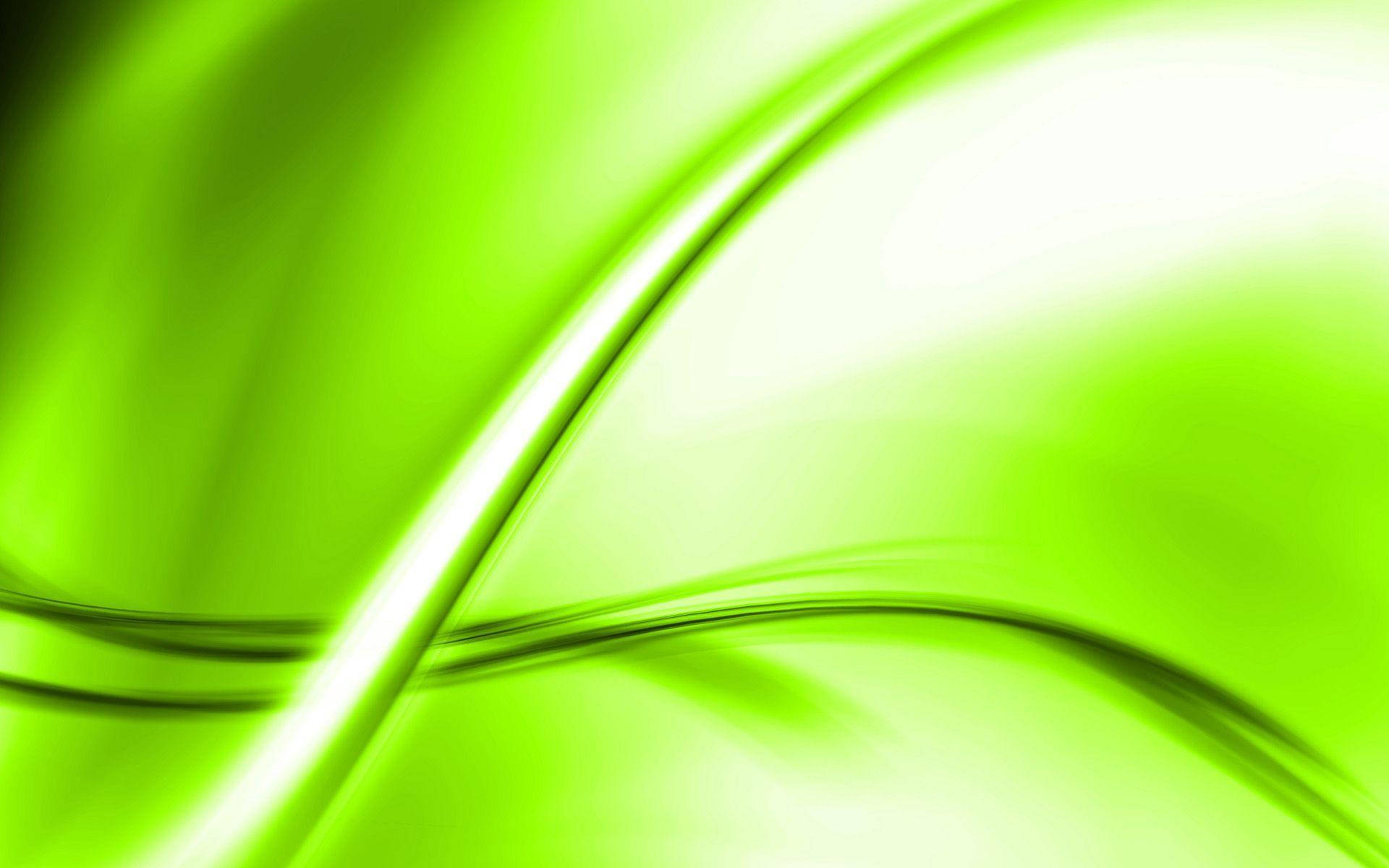 Light Green Swooping Light Background