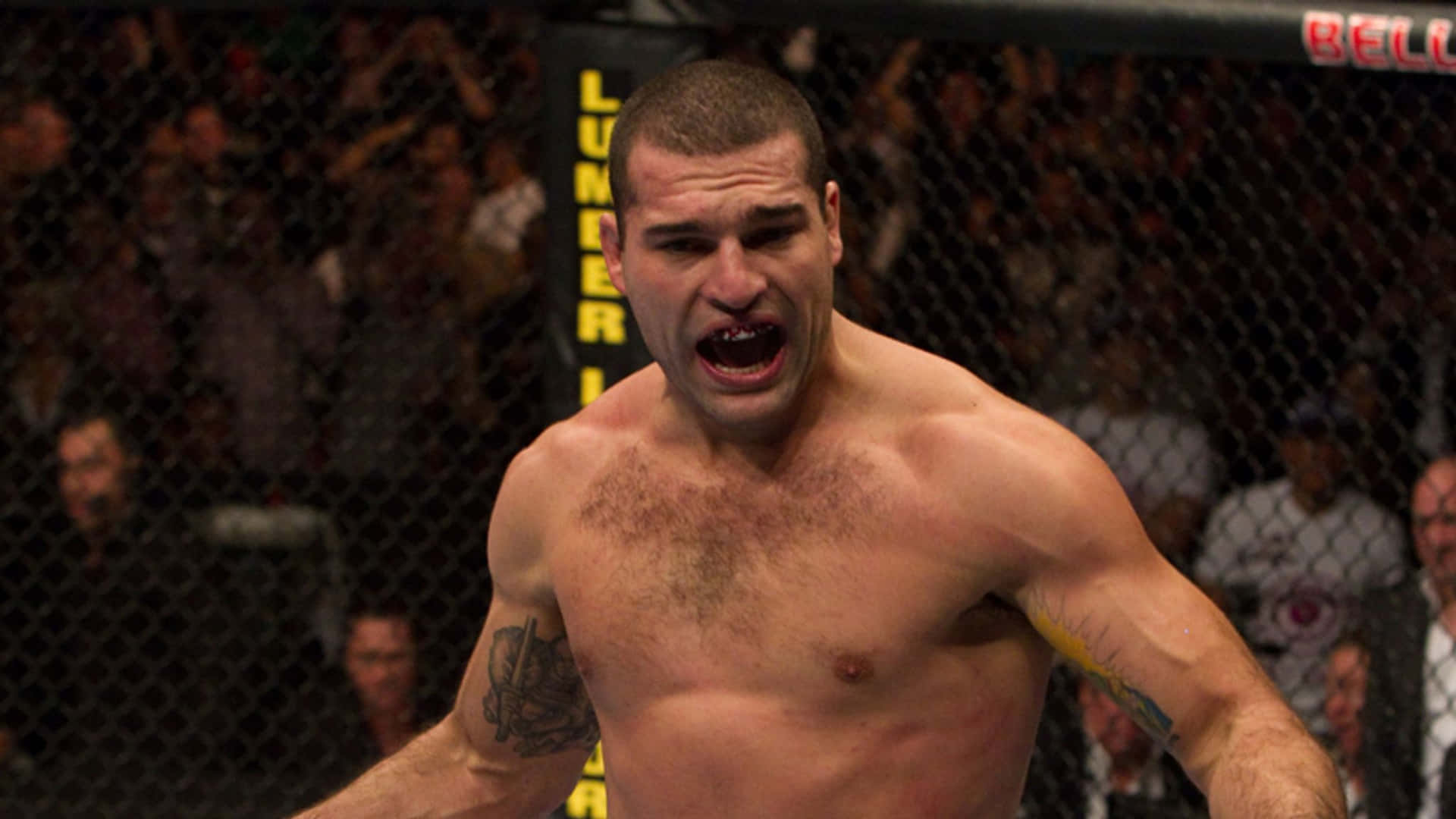 Light Heavyweight Champion Mauricio Rua Background