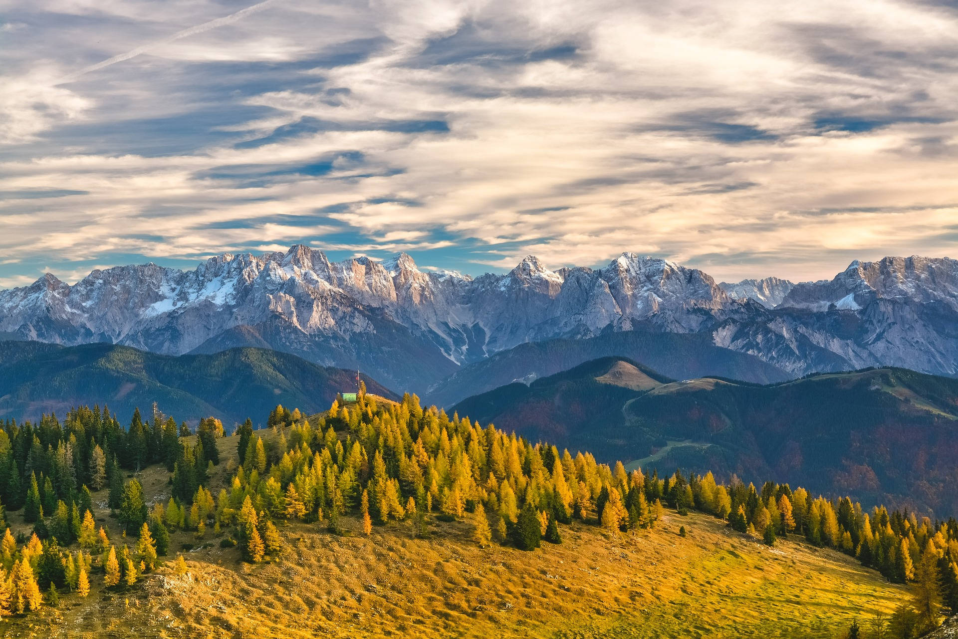 Light Mountain Woods Background