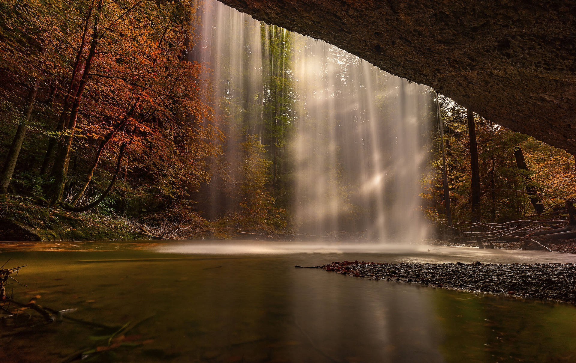 Light On Water In The Woods Background