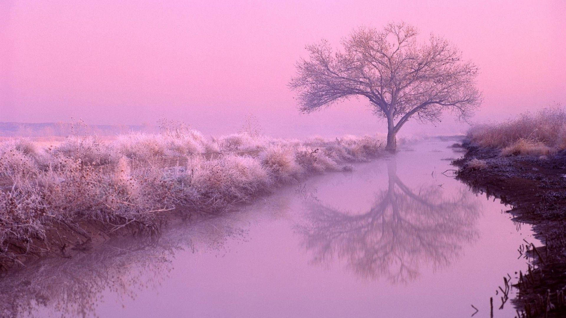 Light Pink Aesthetic River Background