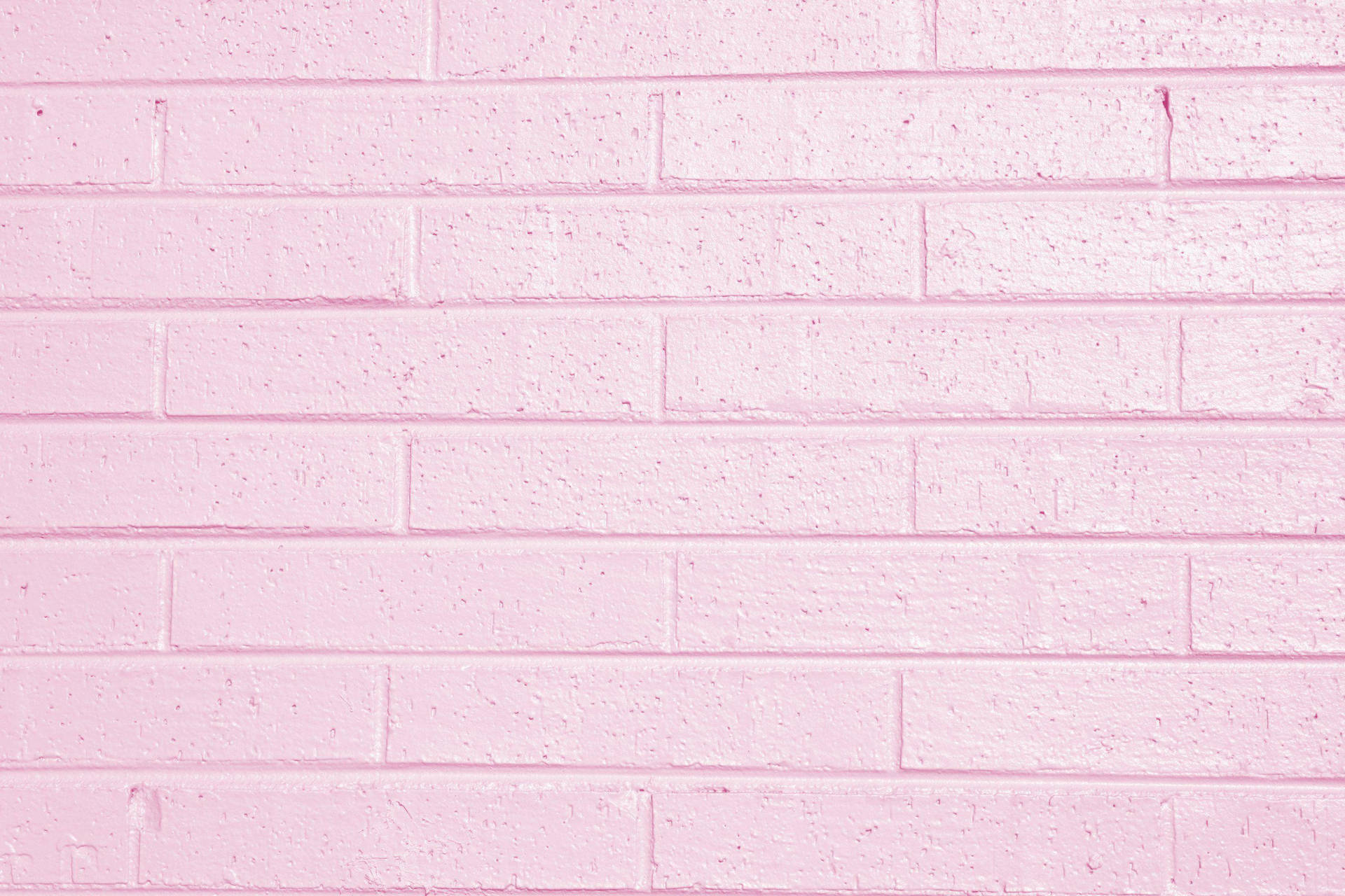 Light Pink Color Wall