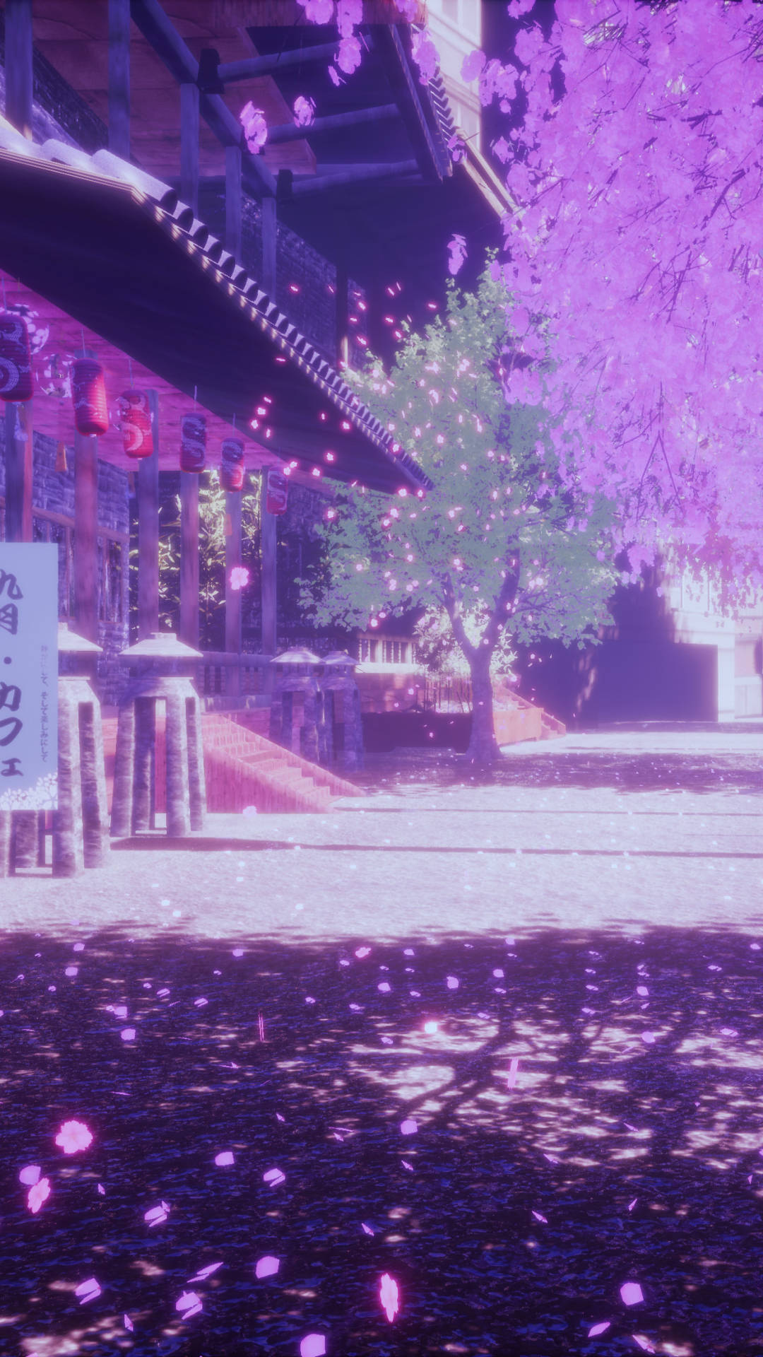 Light Purple Aesthetic Cherry Blossoms Background