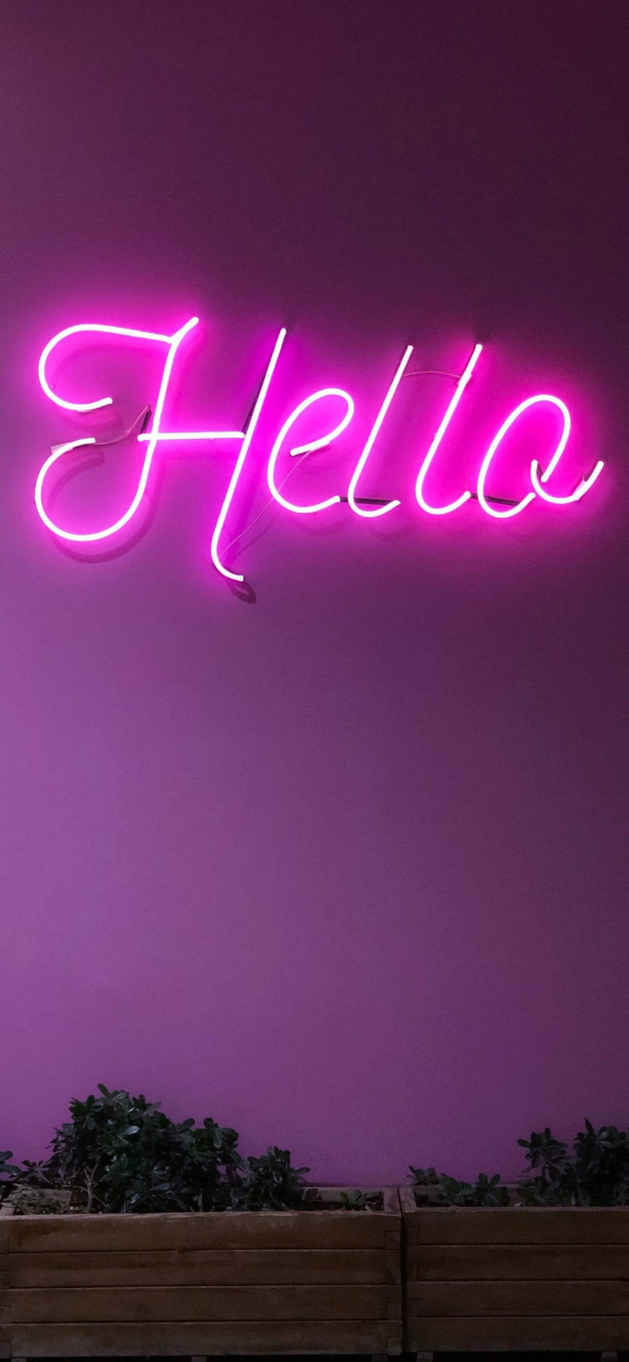 Light Purple Aesthetic Hello In Neon Background