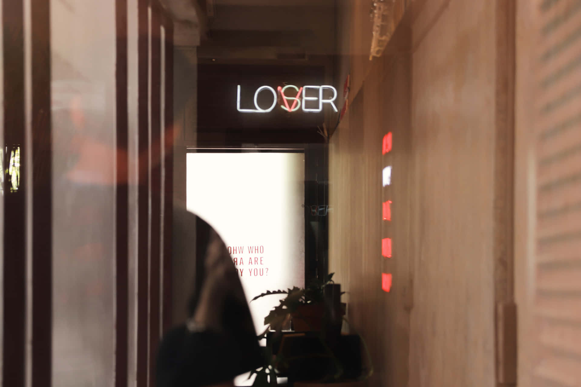 Light Sign Lover Loser Glass Door Background