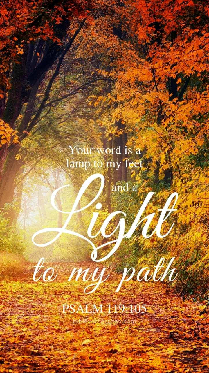 Light To My Path Bible Verse Background