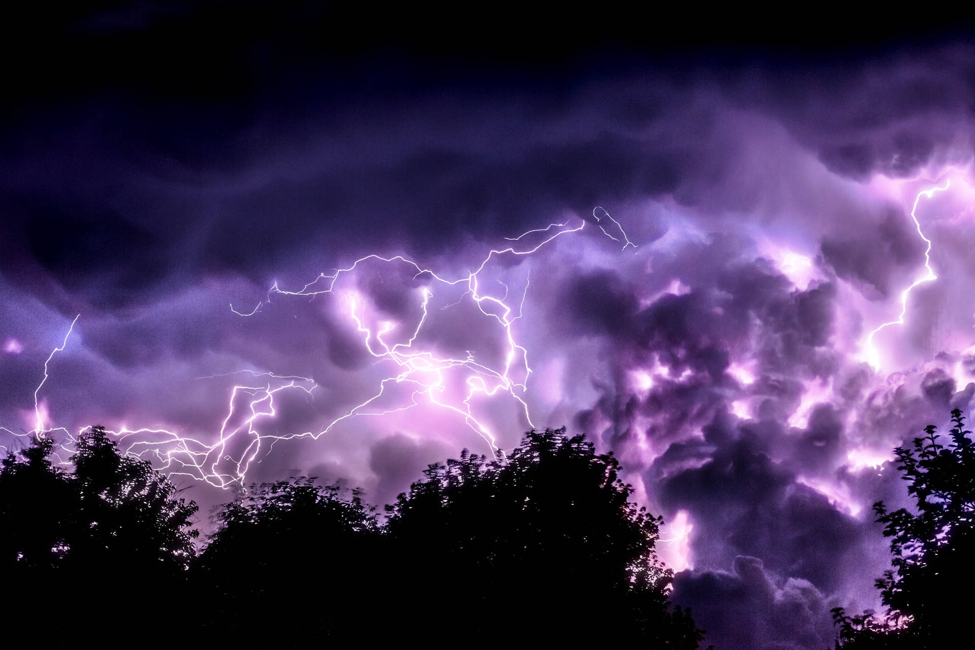 Lightning Storm In The Sky With Trees Background