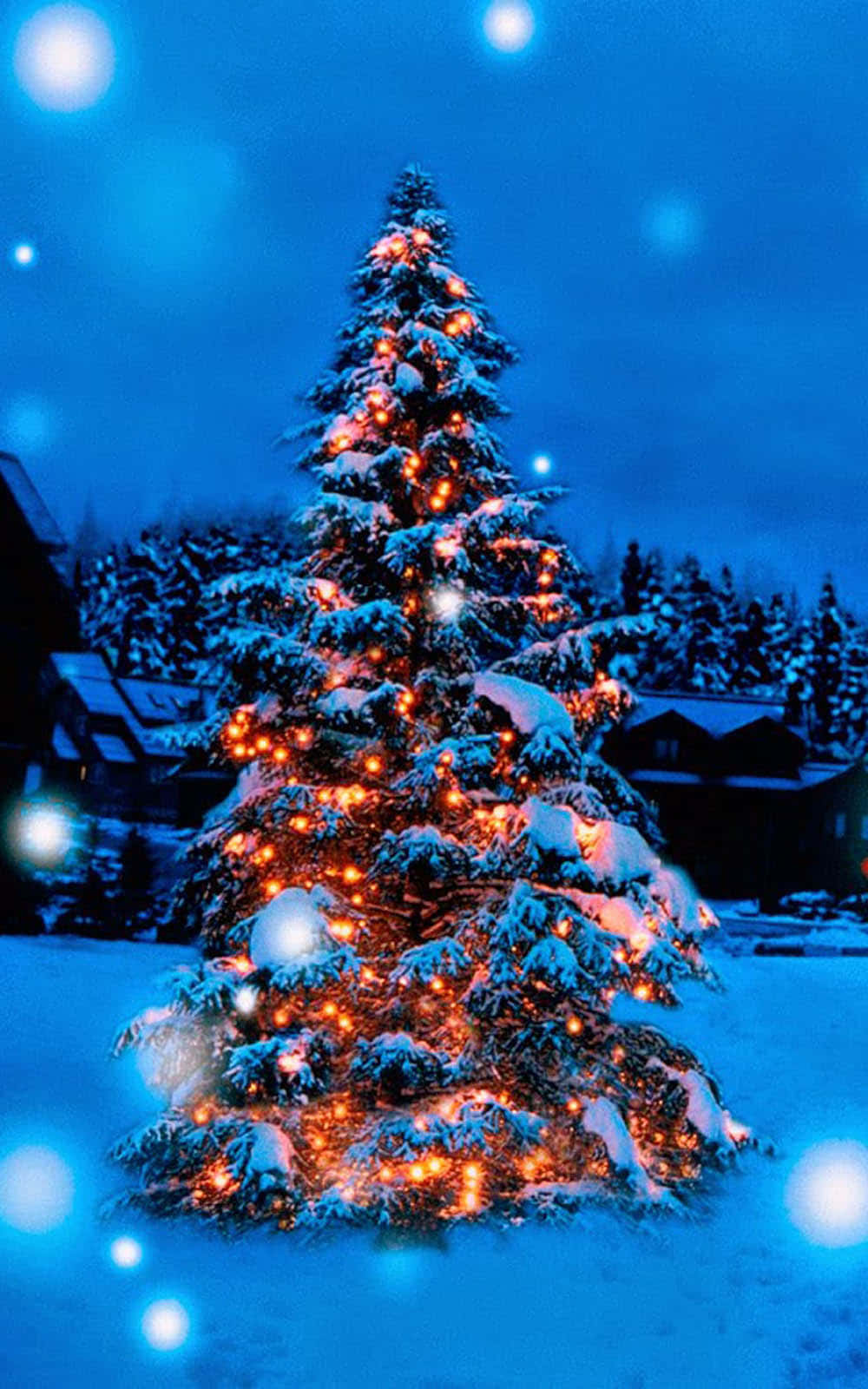 Lights Christmas Tree Snow Background