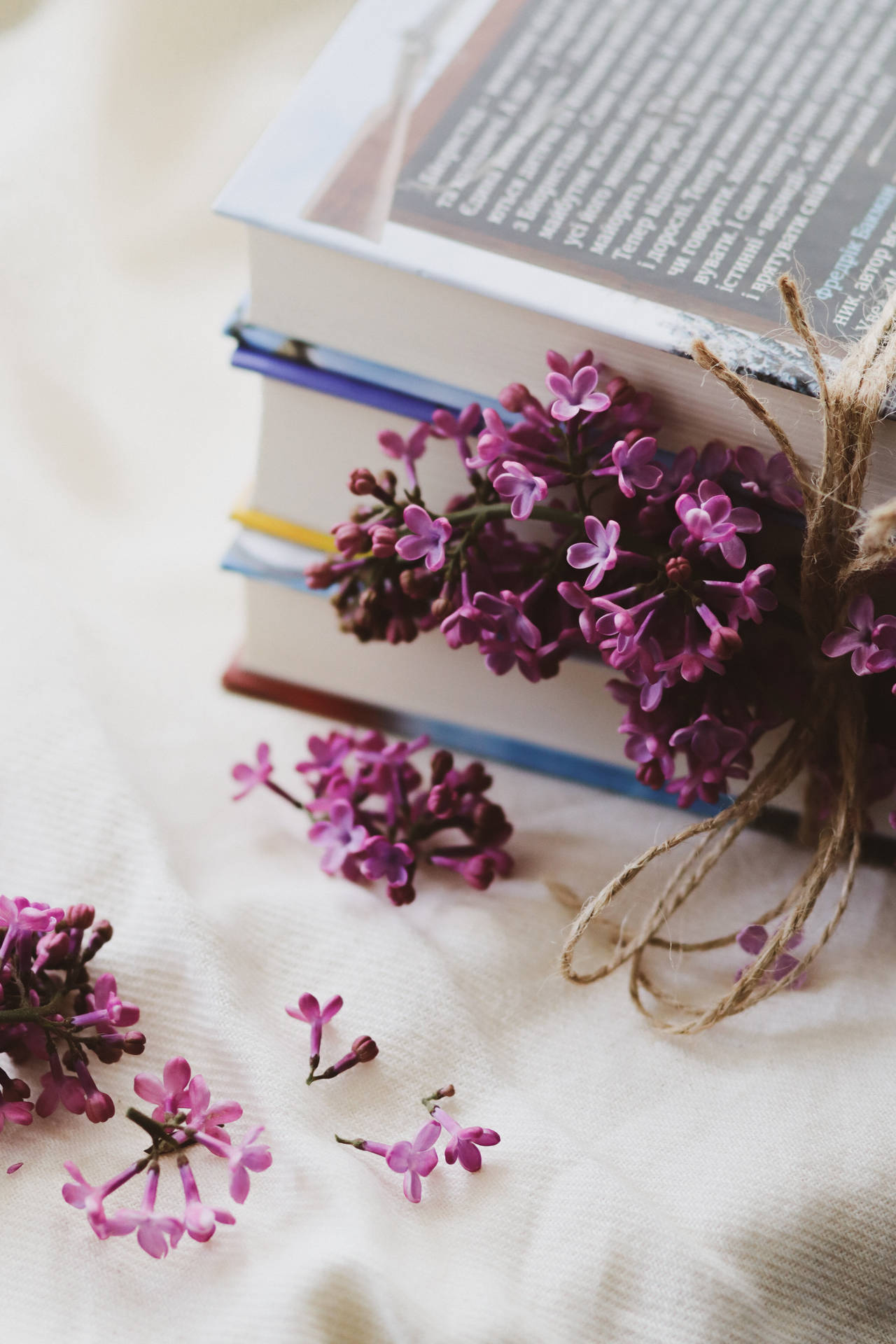 Lilac Aesthetic Book Desktop Background