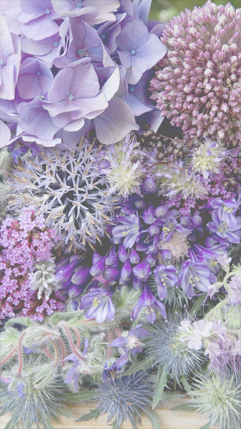 Lilac And Purple Floral Iphone