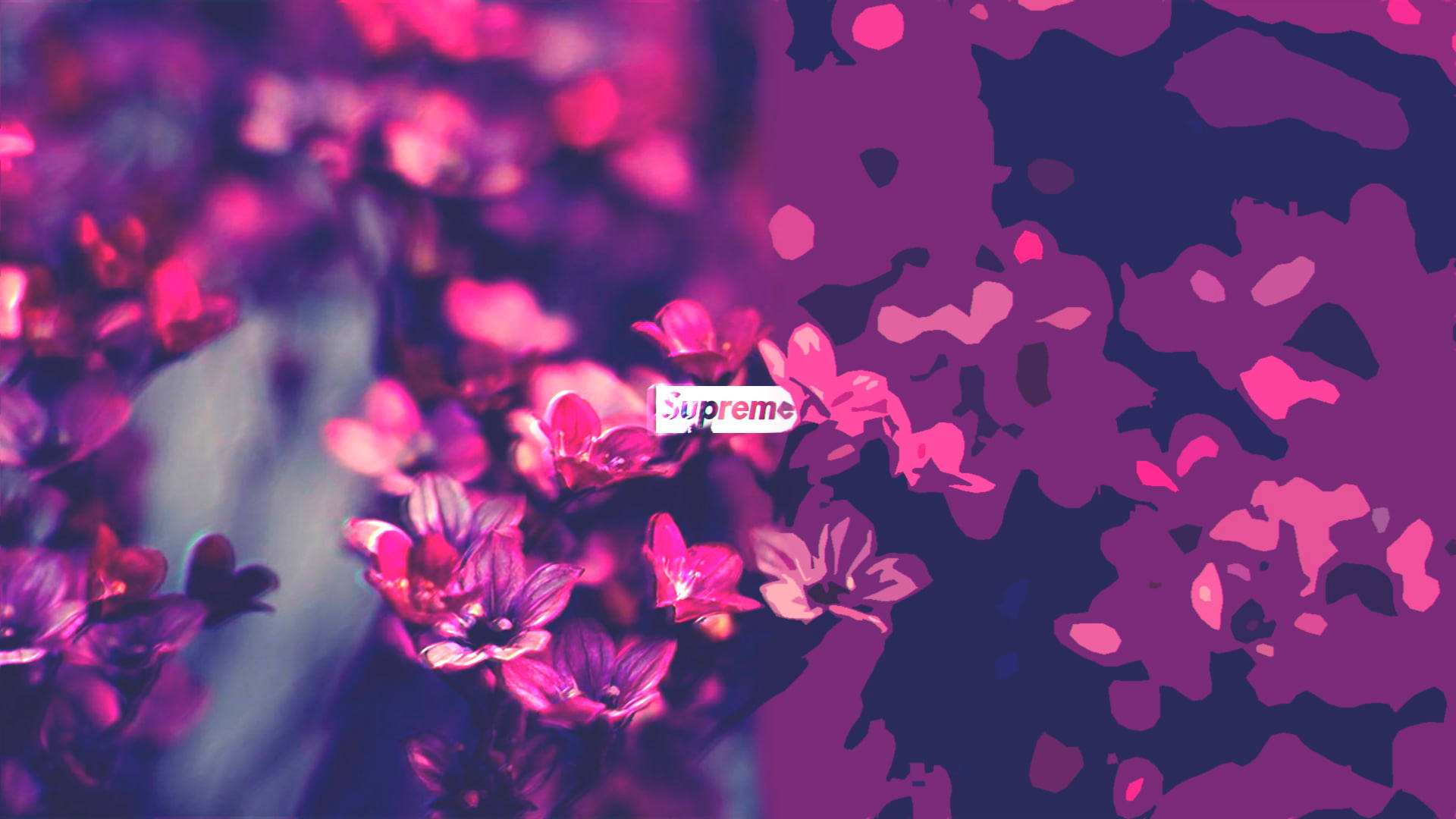 Lilacs Supreme Laptop Background