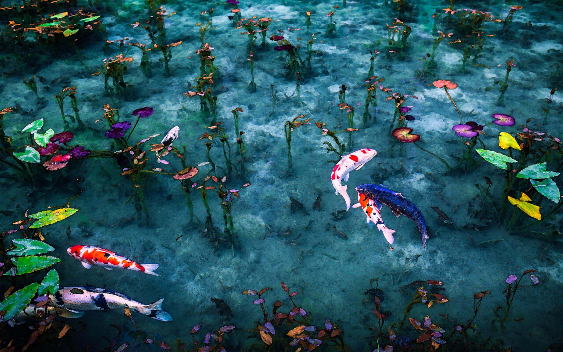 Lily Pods And Live Koi Fish Background